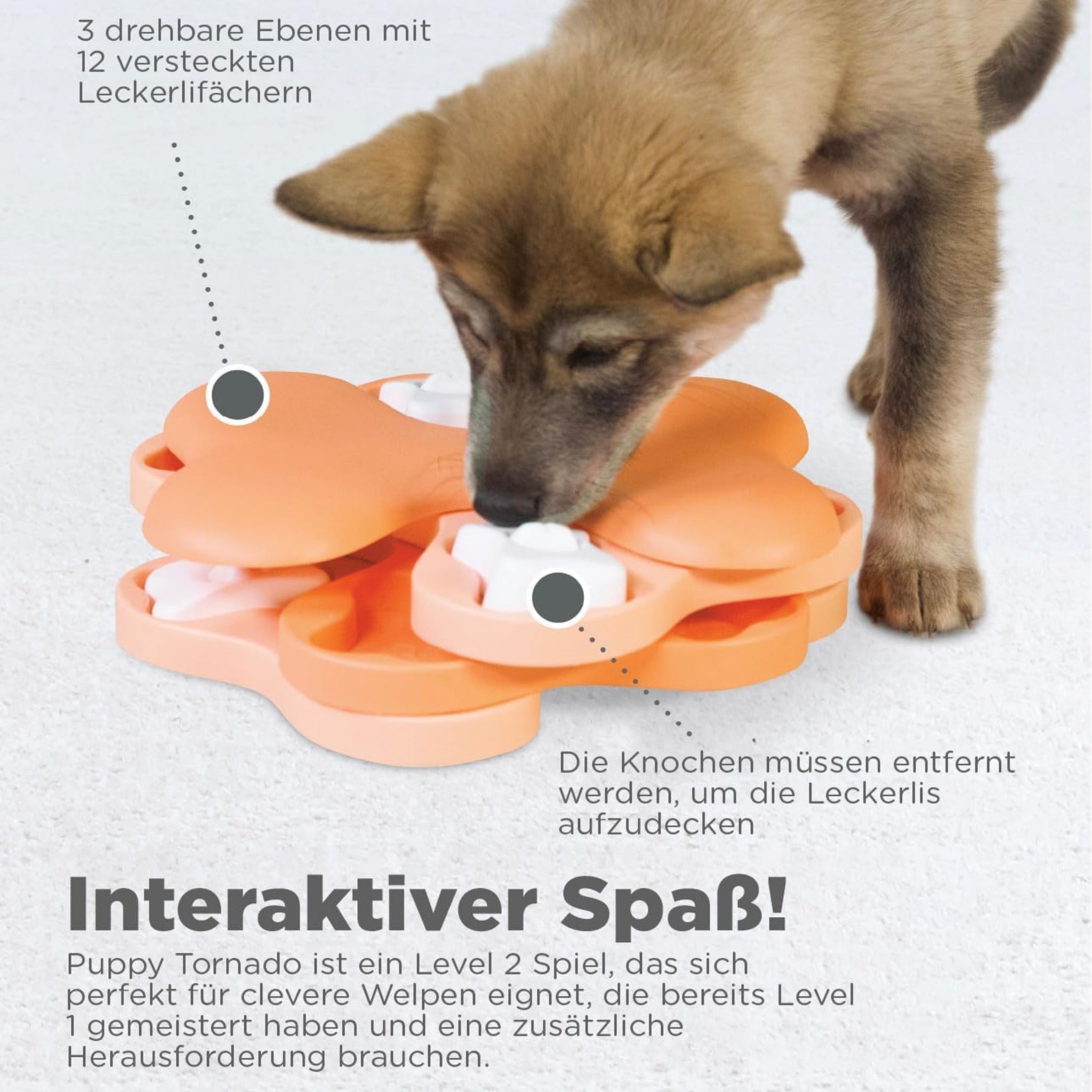 Nina Ottosson Puppy Tornado, Intelligenzspielzeug für Welpen - Woofshack