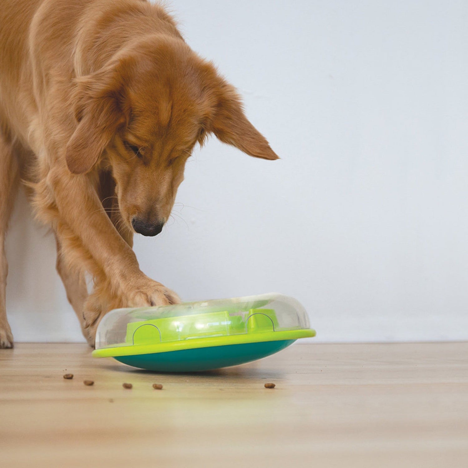 Outward Hound Wobble Slo Bowl Dog Slow Feeder