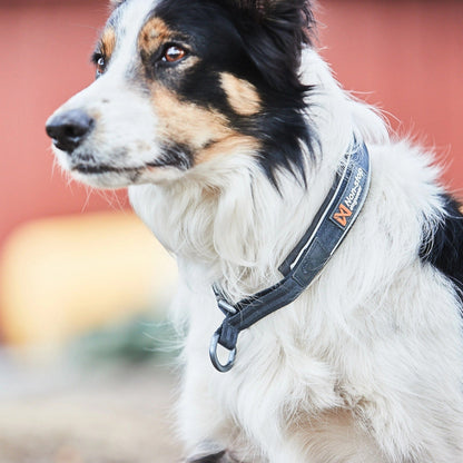 Non-stop dogwear Cruise Collar, Hundehalsband - Woofshack