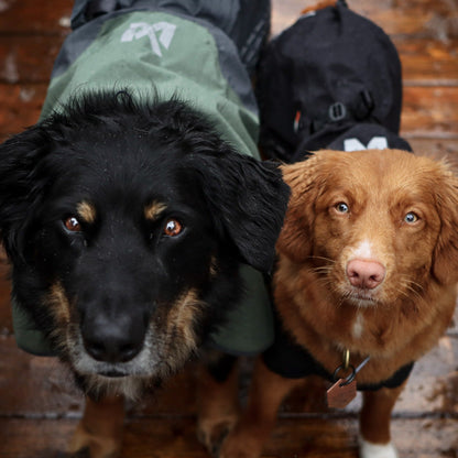 Non-stop dogwear Fjord Raincoat, Hundemantel - Woofshack