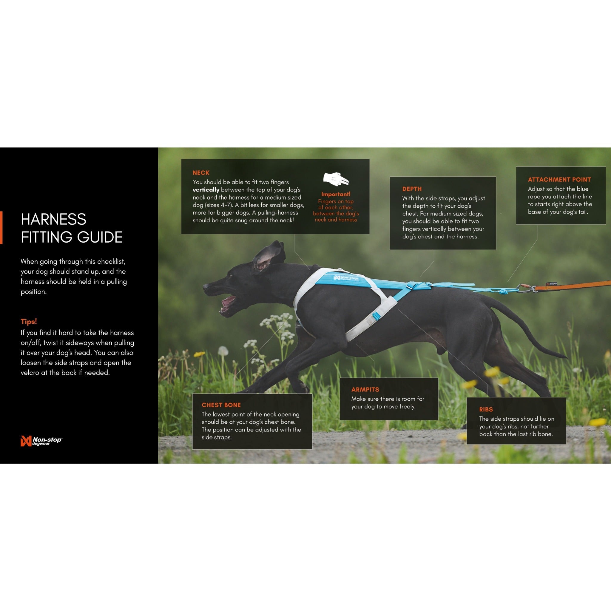 Non-stop dogwear Freemotion Harness 5.0, Zuggeschirr - Woofshack