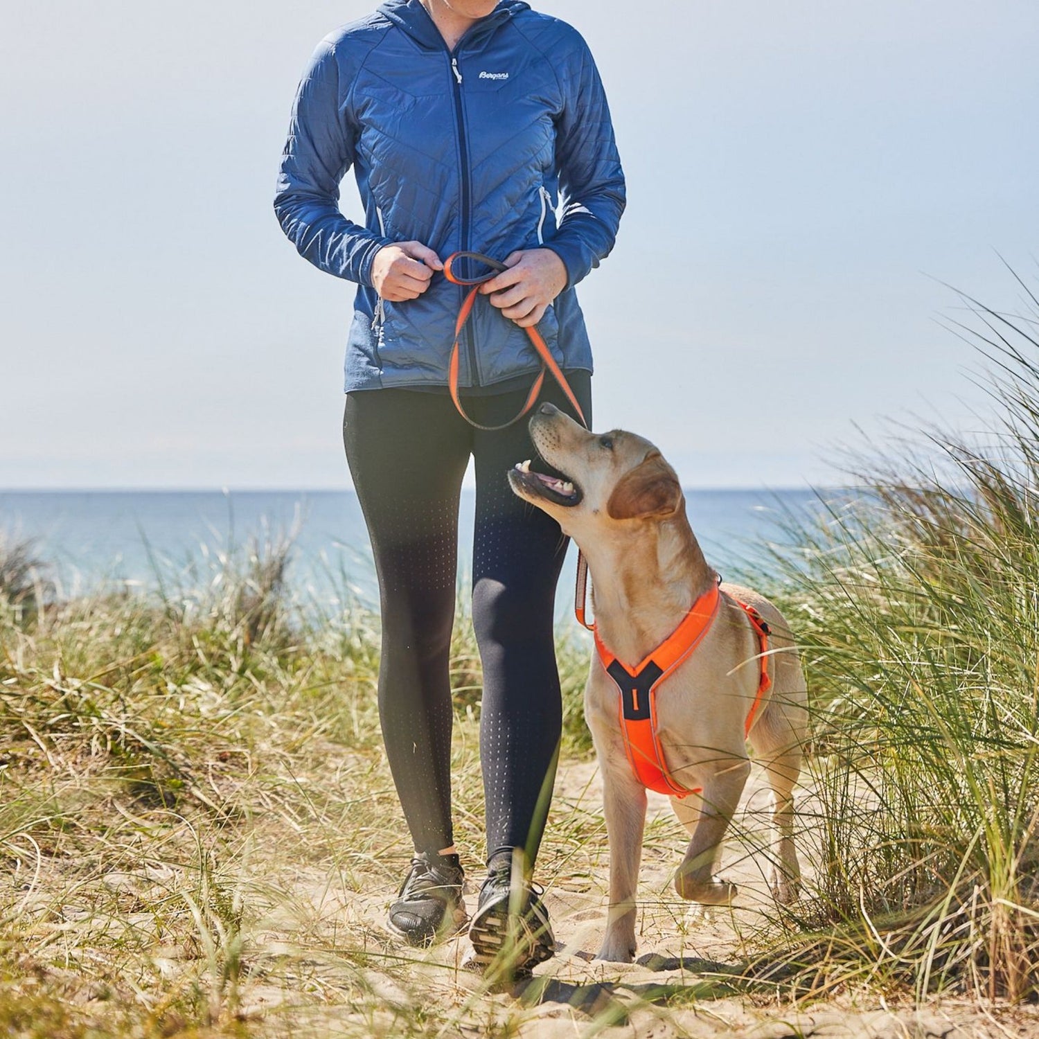 Non-stop dogwear Line Harness 5.0, Hundegeschirr - Woofshack