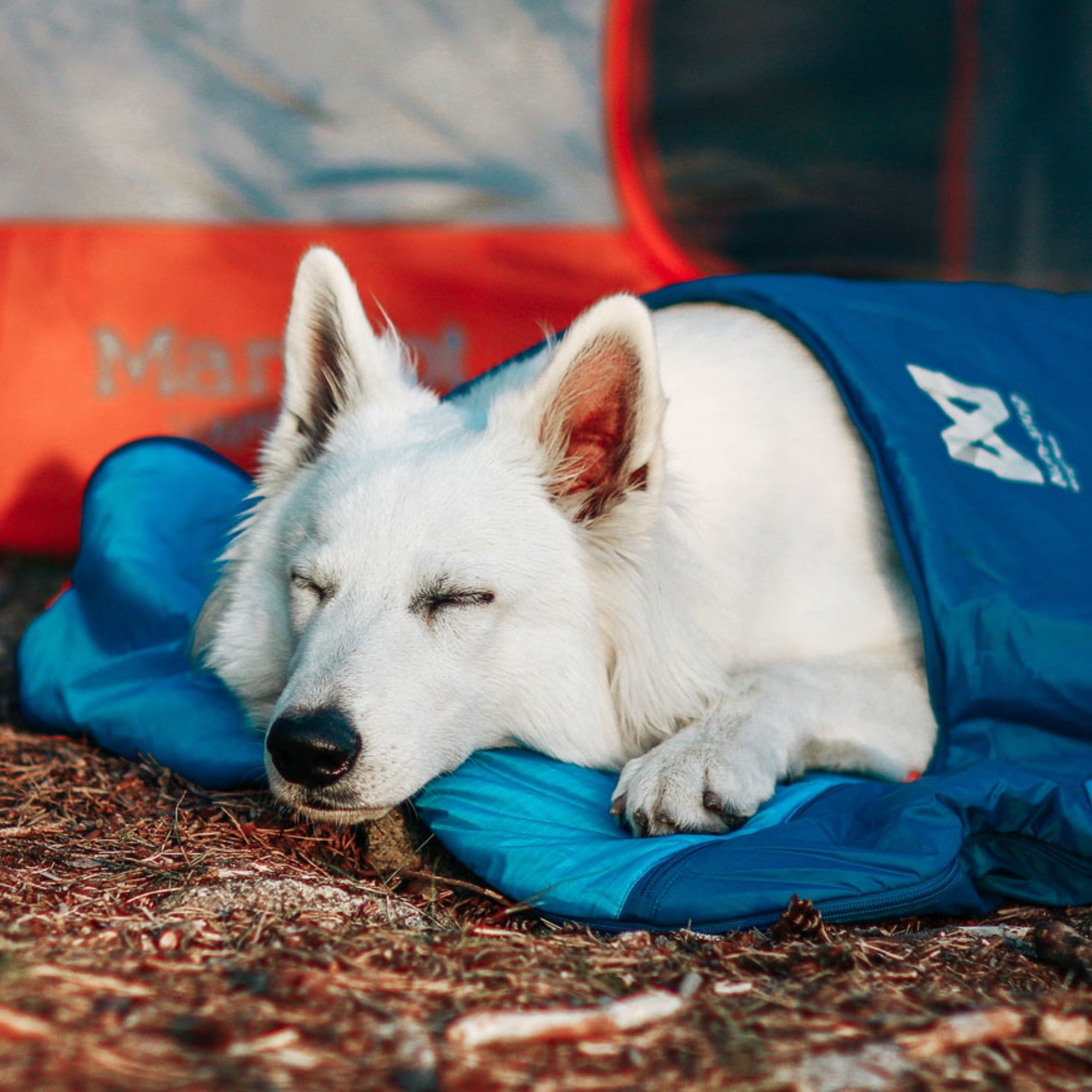 Non-stop dogwear Ly Sleeping Bag, Hundeschlafsack - Woofshack