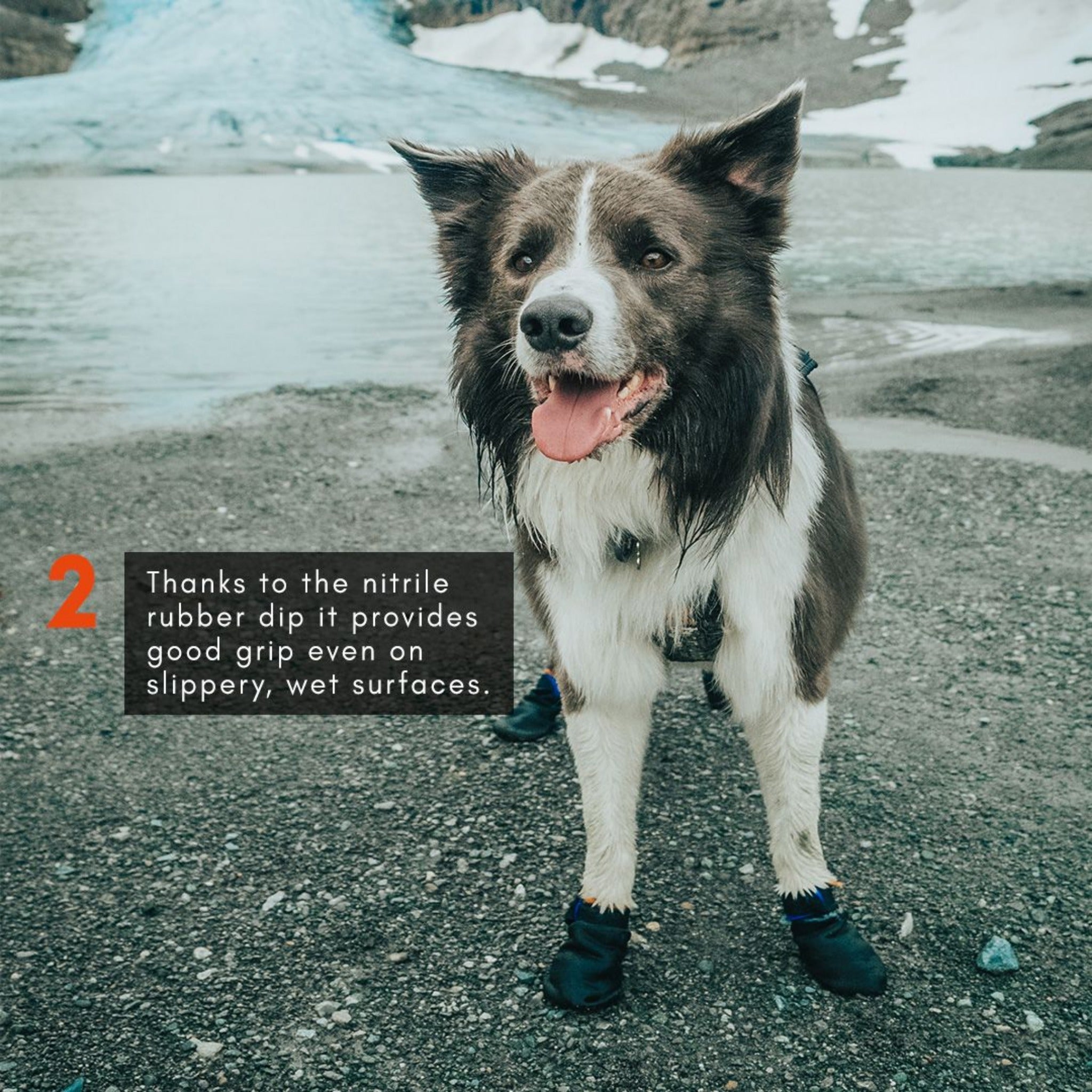 Non-stop dogwear Protector Booties, Hundeschuhe - Woofshack