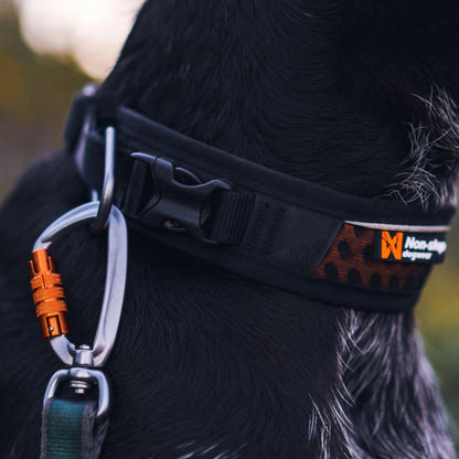 Non-stop dogwear Rock Adjustable Collar, Hundehalsband - Woofshack