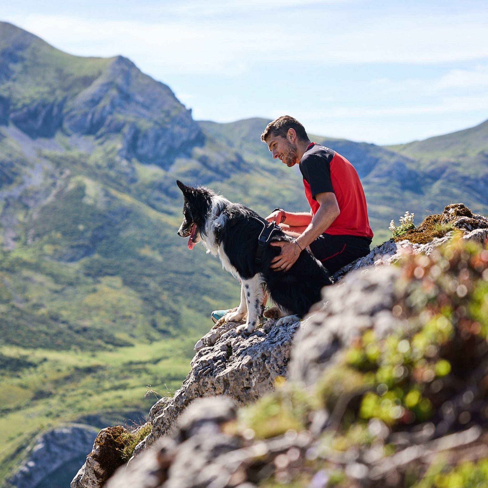 Non-stop dogwear Rock Harness, Hundegeschirr - Woofshack