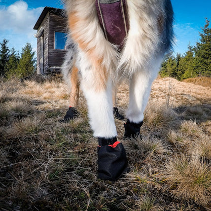 Non-stop dogwear Solid Socks, Hundeschuhe - Woofshack