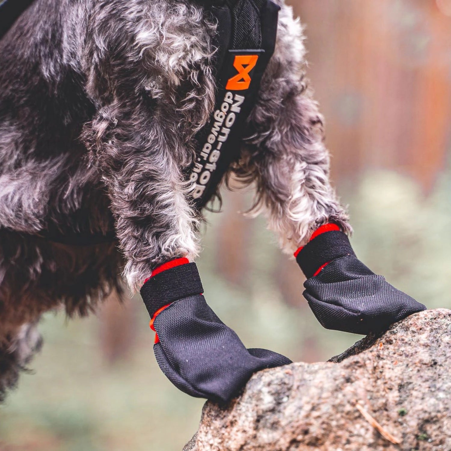 Non-stop dogwear Solid Socks, Hundeschuhe - Woofshack