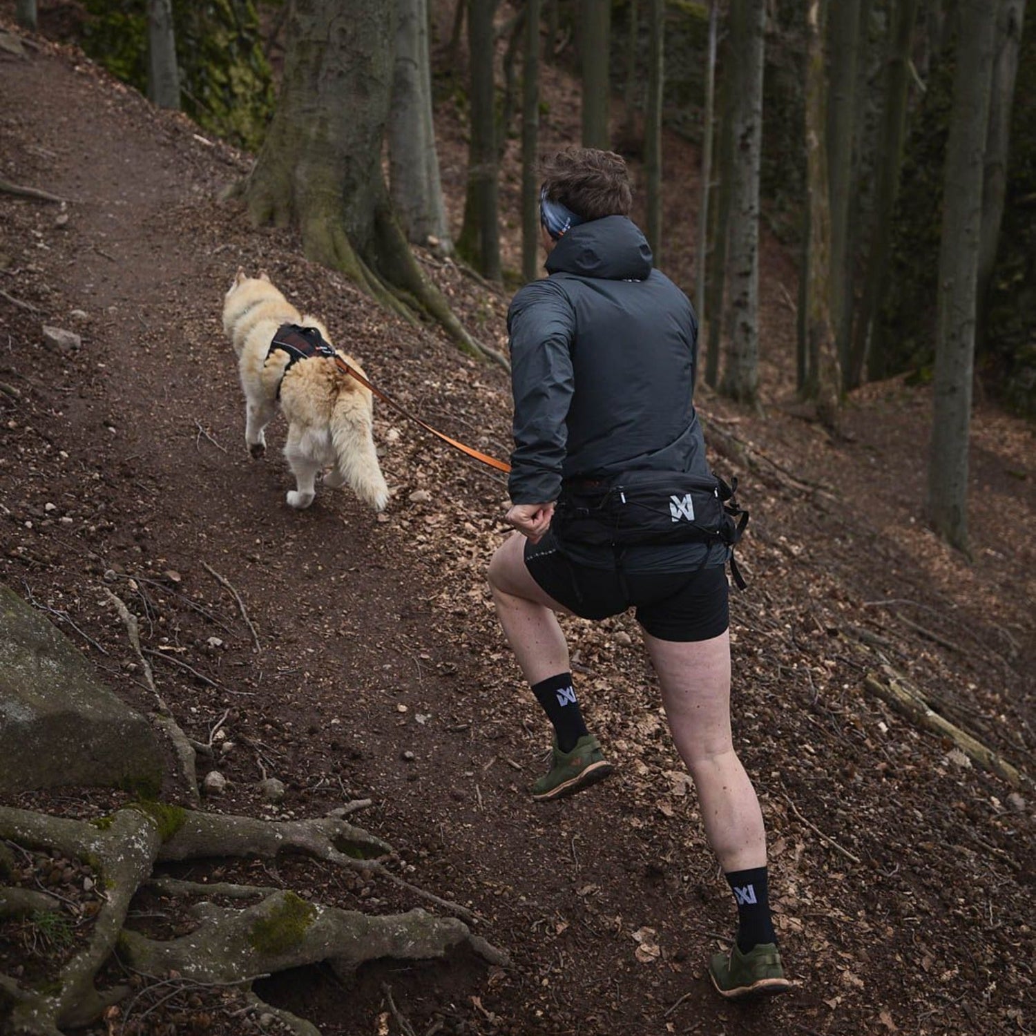 Non-Stop Dogwear Trail Light Belt, Laufgurt - Woofshack