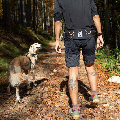 Non-stop dogwear Trekking Belt 2.0, Hüftgurt - Woofshack