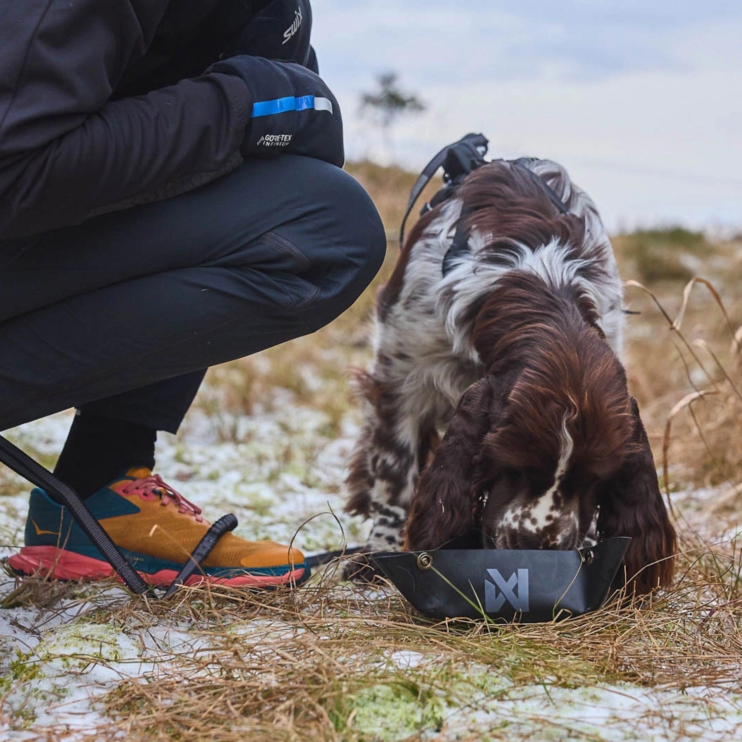 Non-stop dogwear Trekking Bowl, Hundenapf - Woofshack