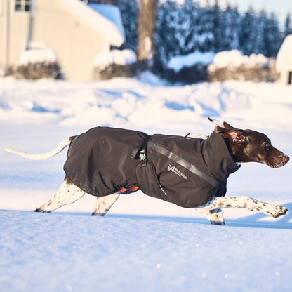 Non-stop dogwear Trekking Insulated Dog Jacket, Hundemantel - Woofshack