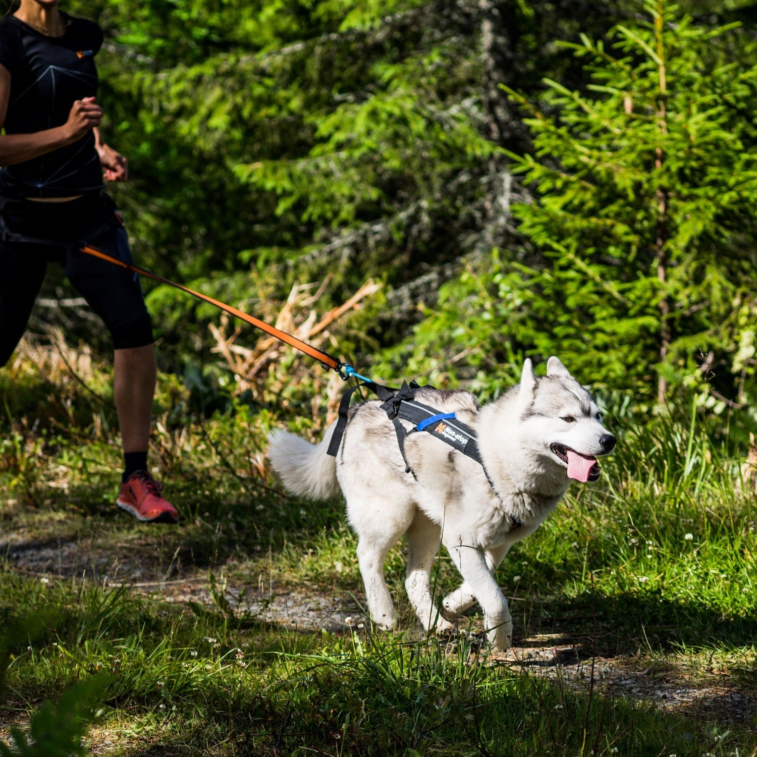 Cinturón running trekking Ultra Light 3D correr con perros