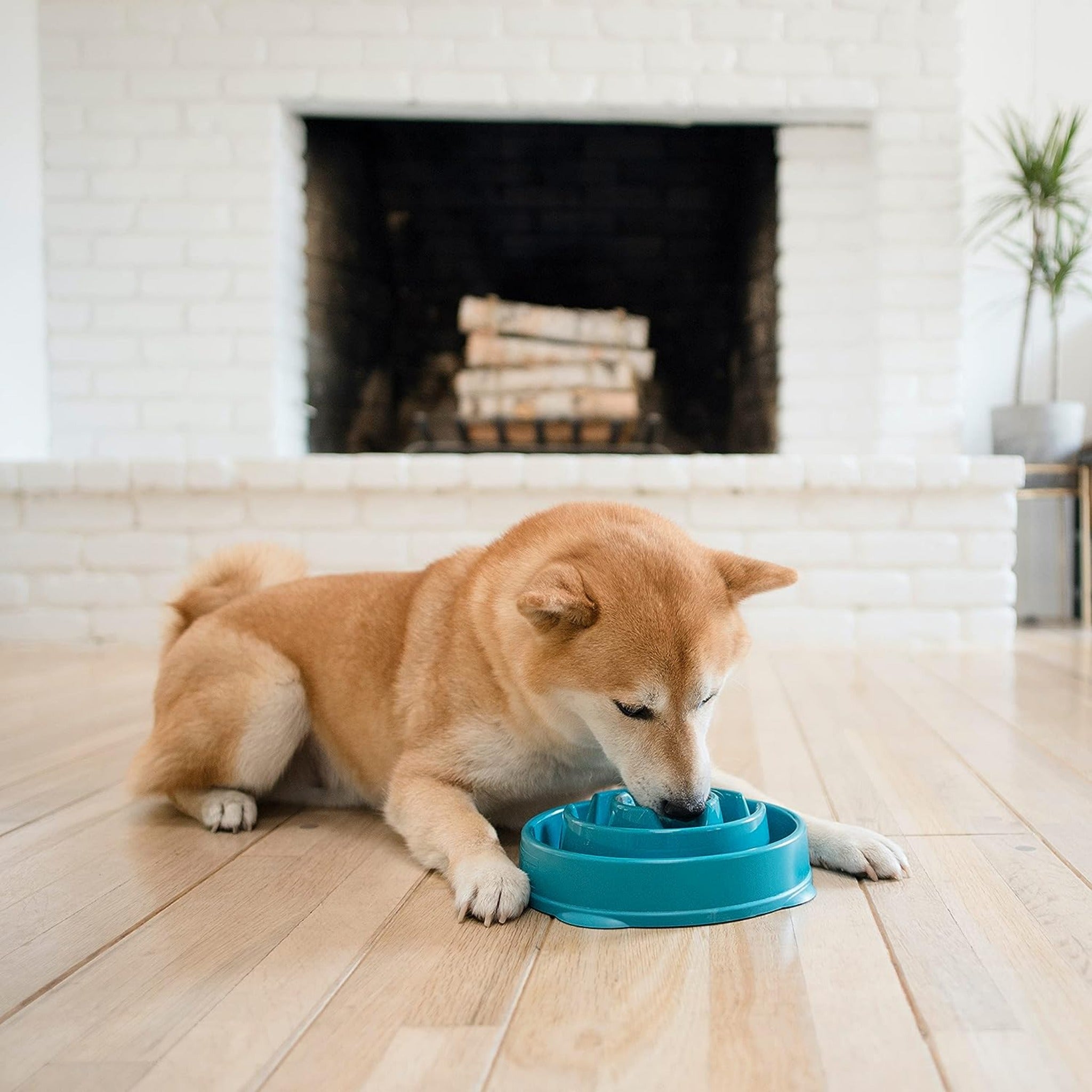 Outward Hound Fun Feeder Slo Bowl, Anti-Schling Napf - Woofshack