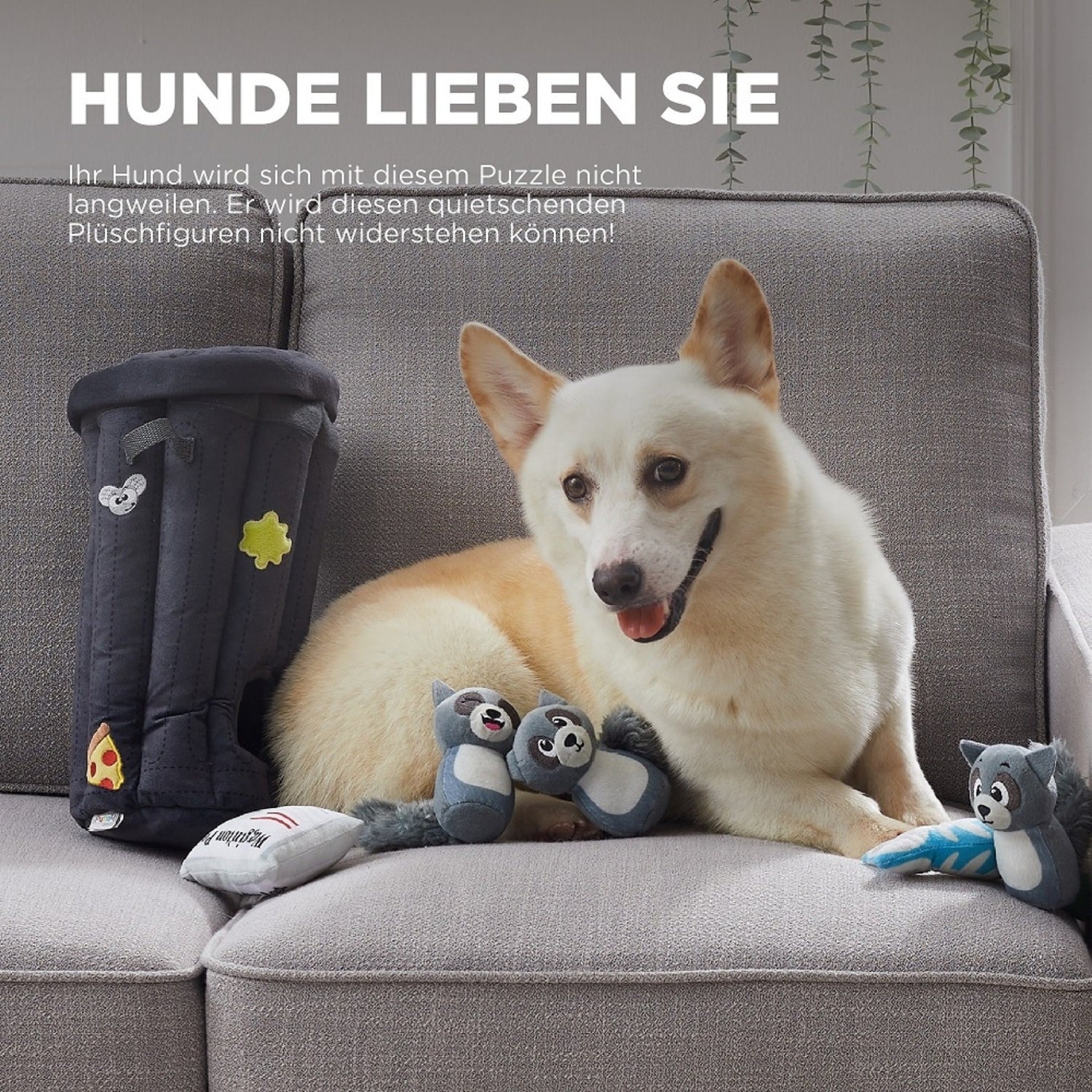 Outward Hound Hide a Raccoon, Intelligenzspielzeug - Woofshack
