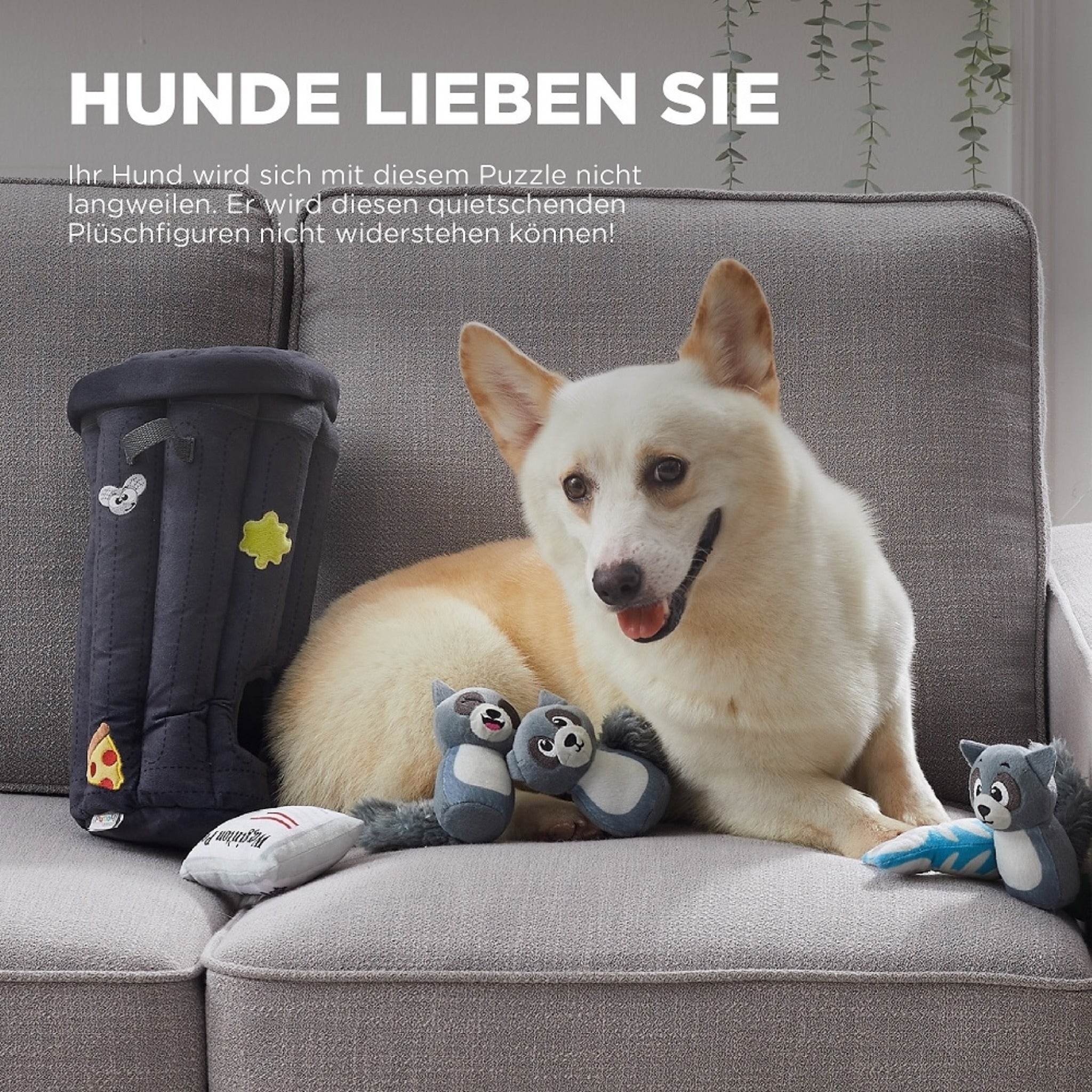 Outward Hound Hide a Raccoon, Intelligenzspielzeug - Woofshack