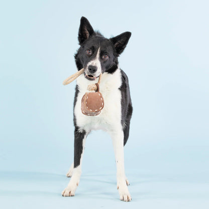 Paikka Ball Tug Toy, Hundespielzeug - Woofshack