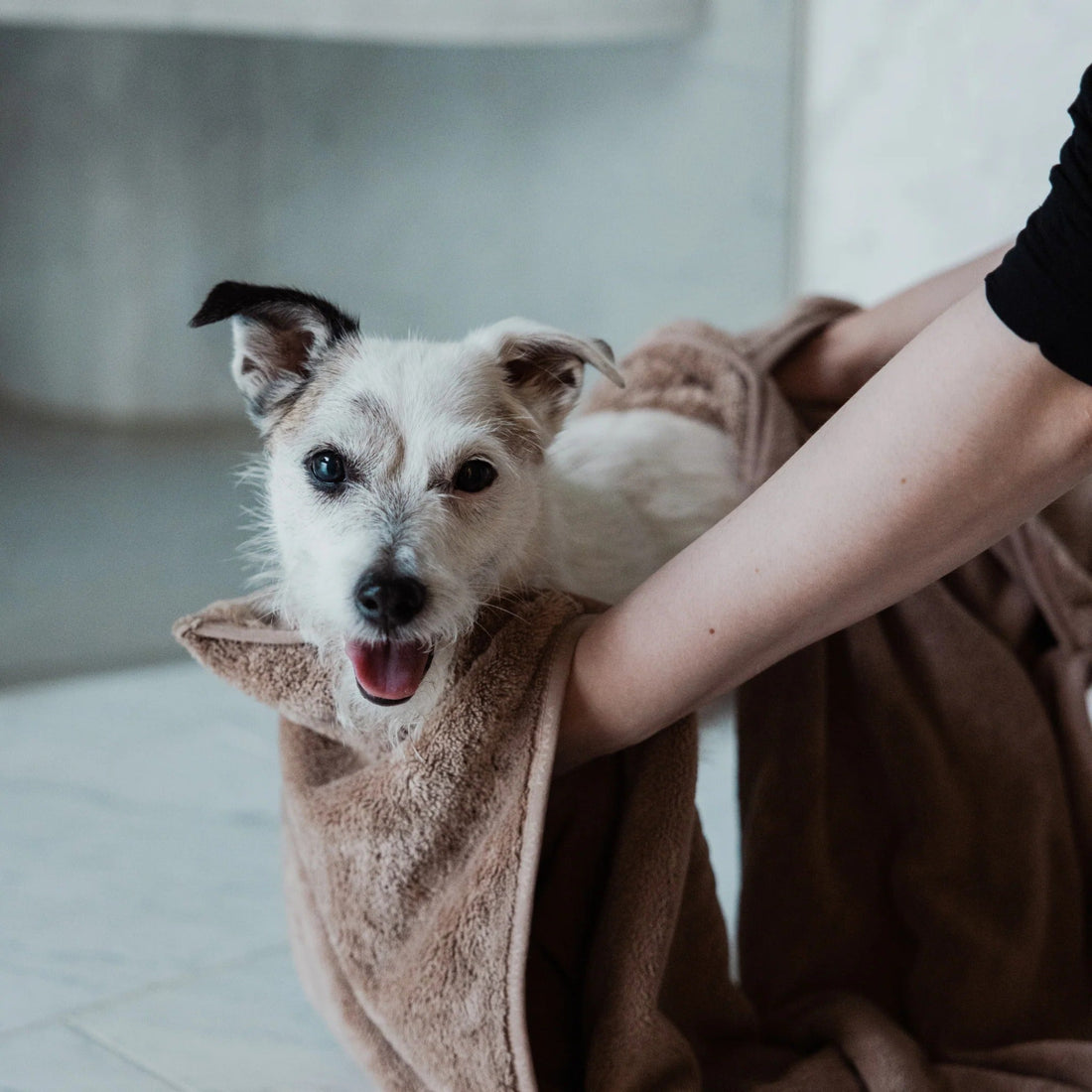 Paikka Drying Towel Comfort, Mikrofaser Hundehandtuch - Woofshack
