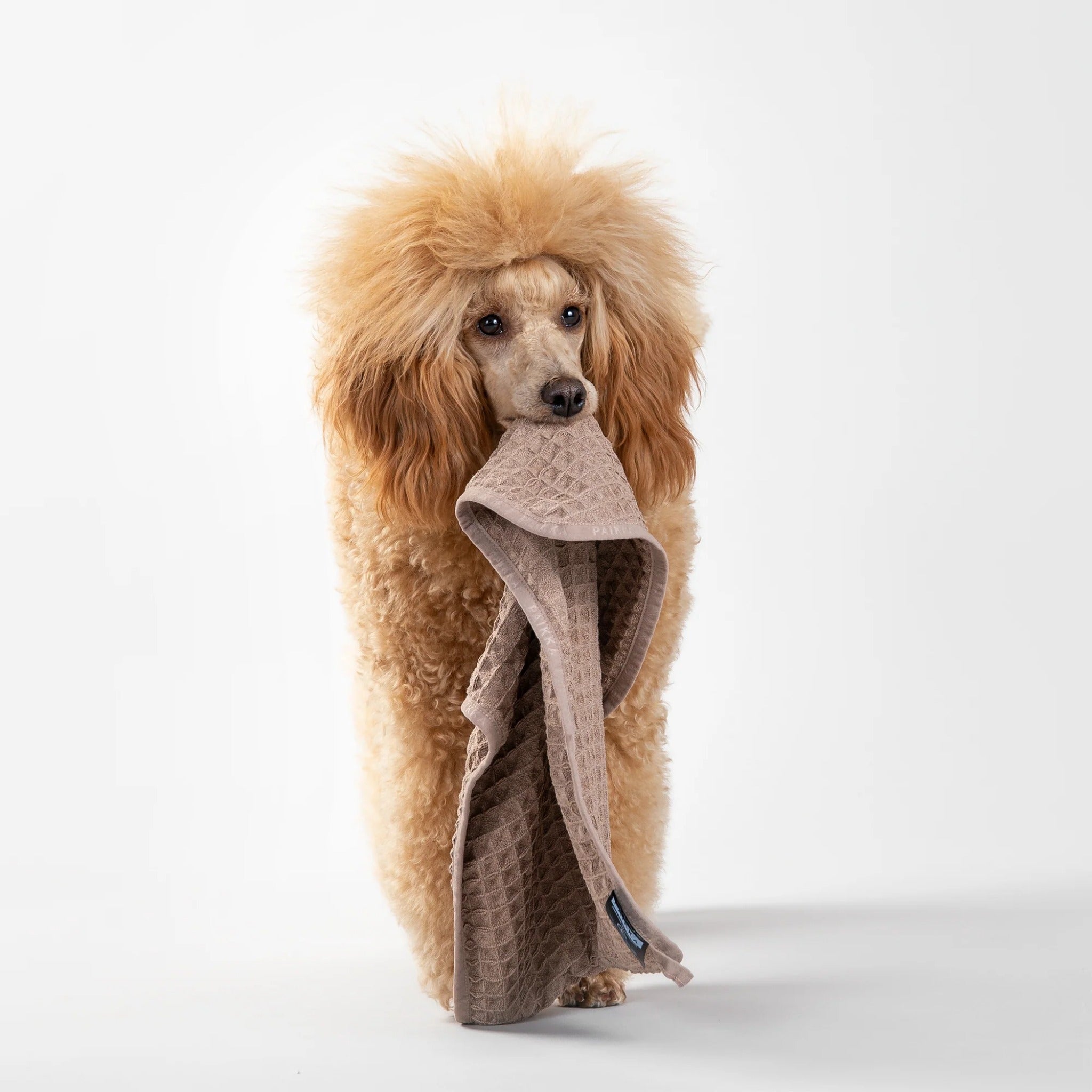 Paikka Drying Towel Easy, Mikrofaser Hundehandtuch - Woofshack