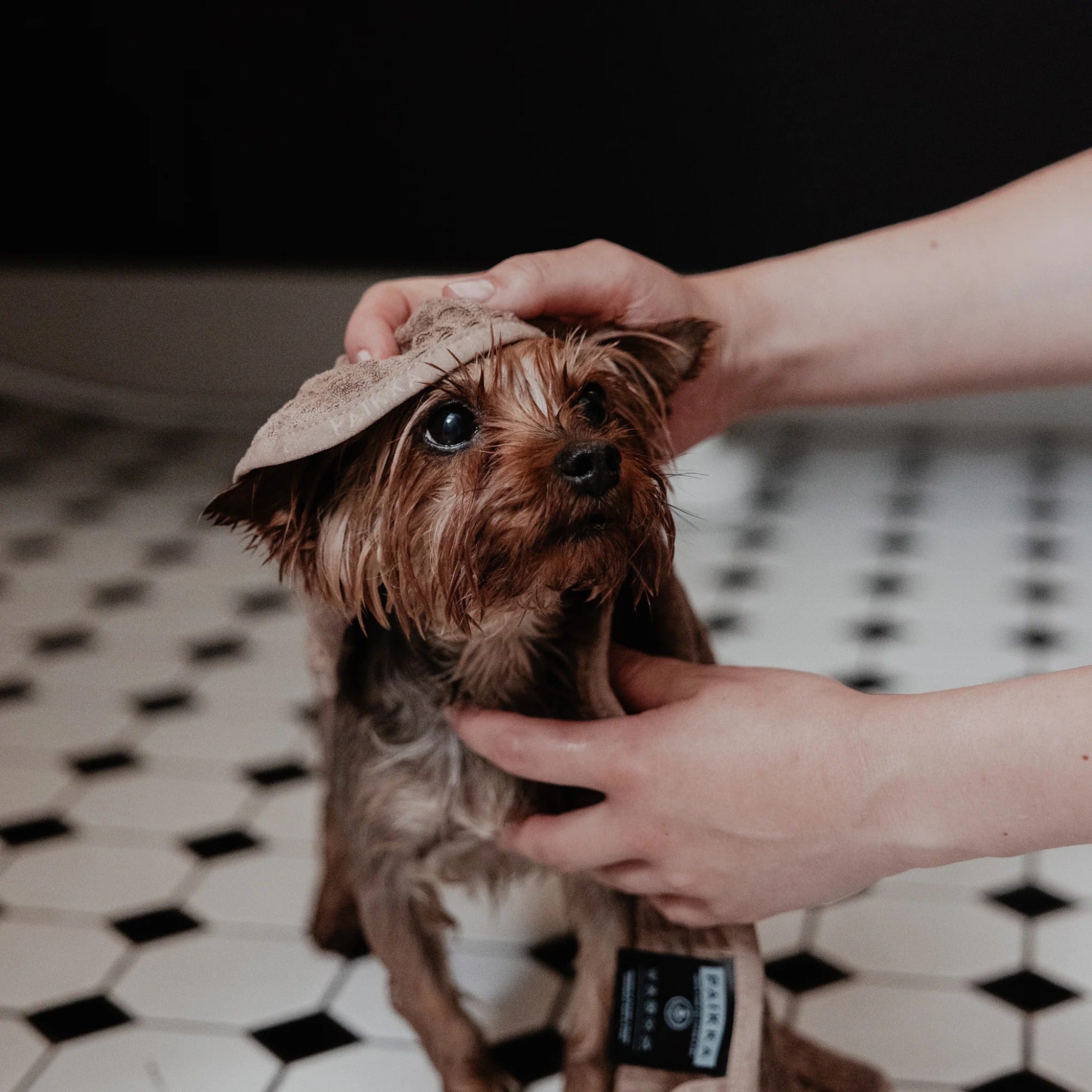 Paikka Drying Towel Easy, Mikrofaser Hundehandtuch - Woofshack