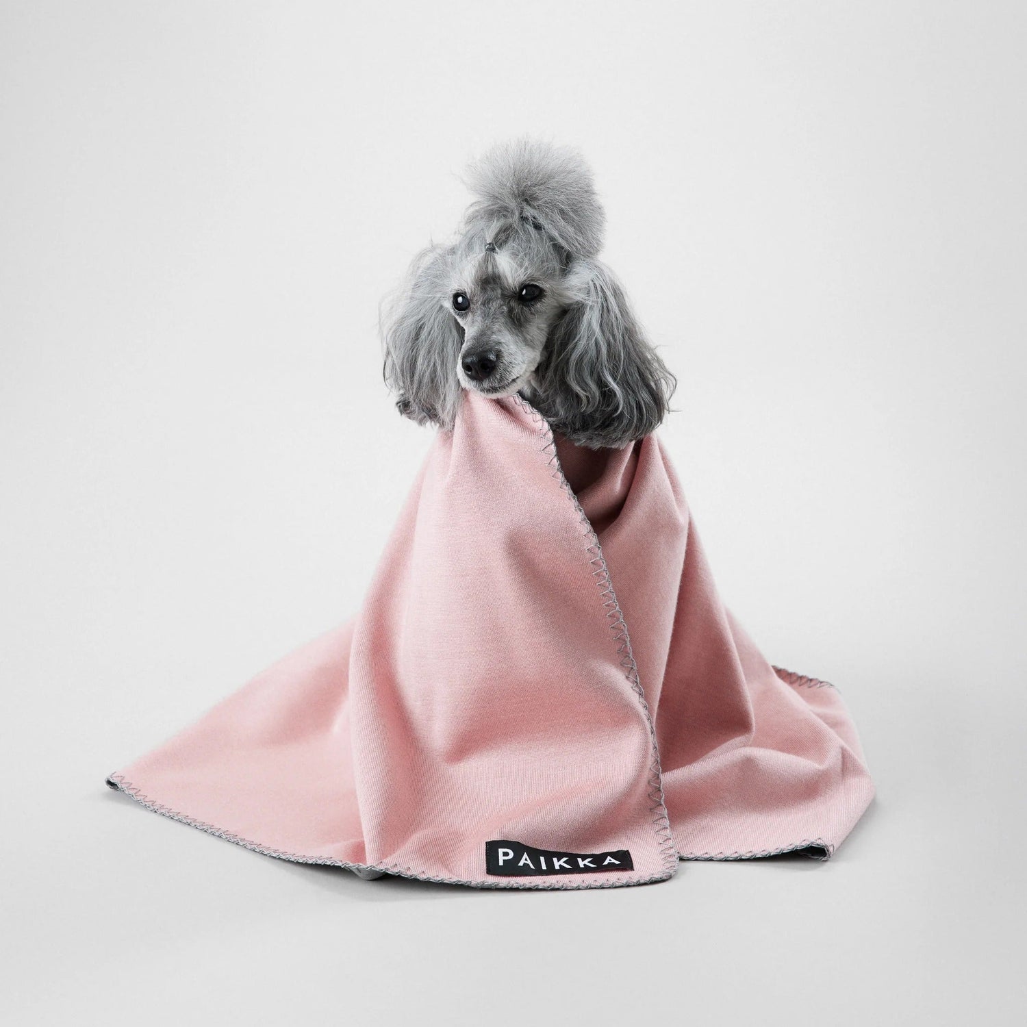 Paikka Recovery Blanket, Hundedecke - Woofshack