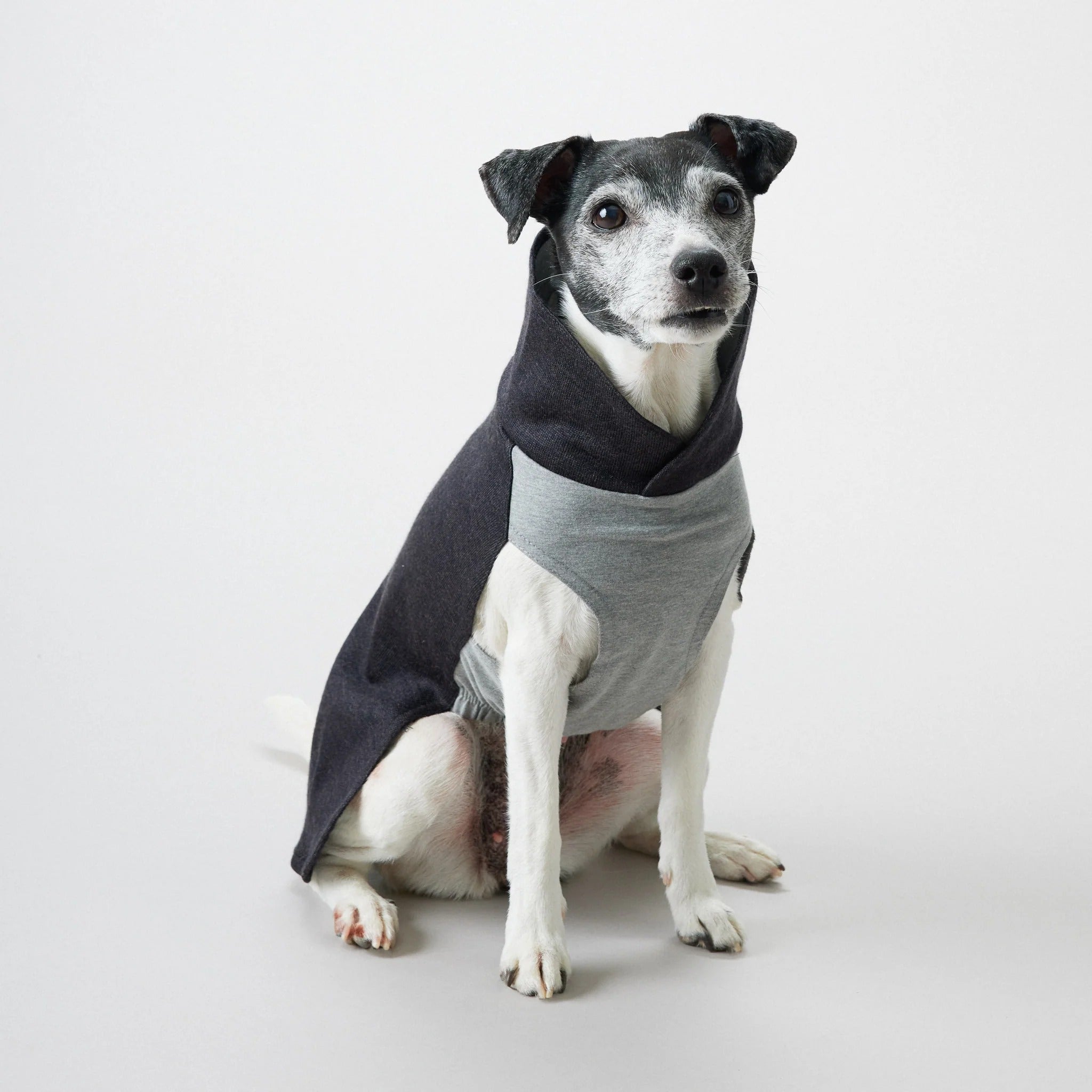 Paikka Recovery Winter Shirt, Hundemantel - Woofshack