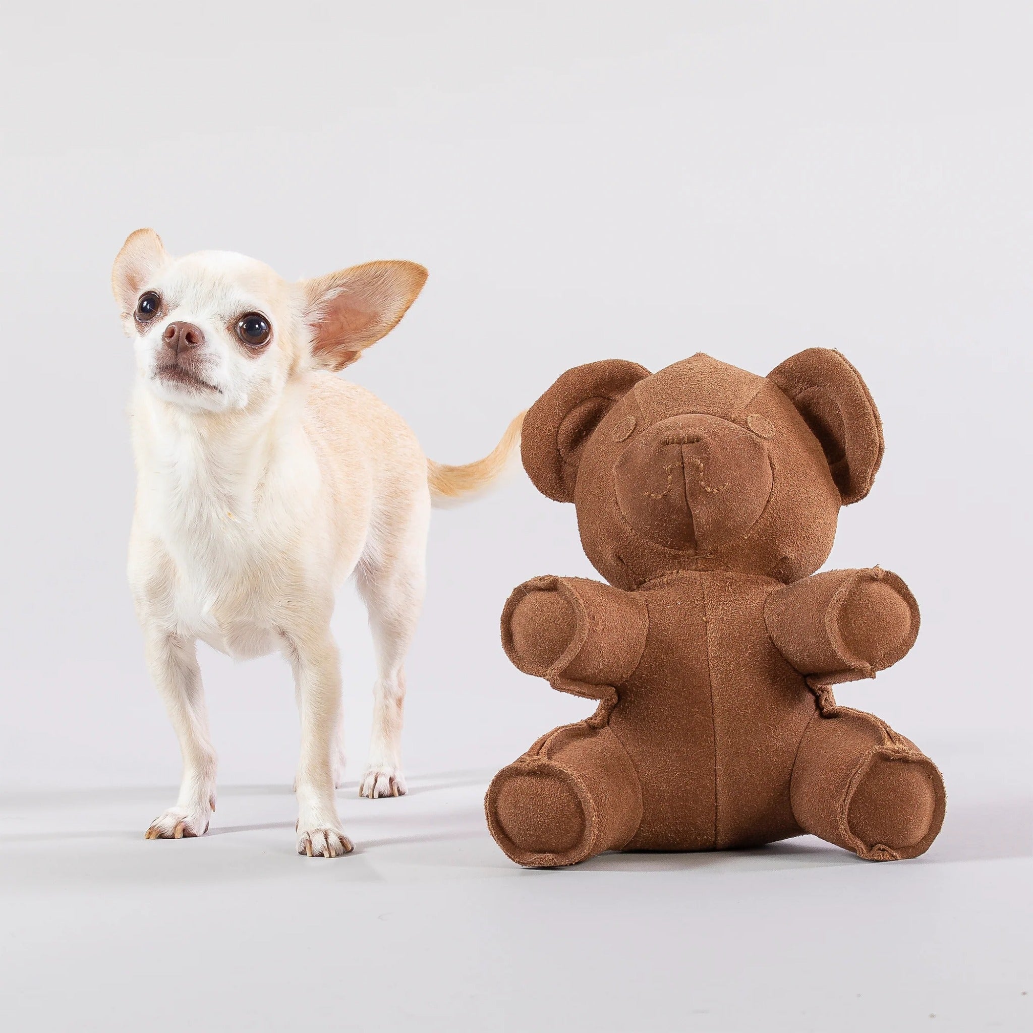 Paikka Teddy Toy, Hundespielzeug - Woofshack