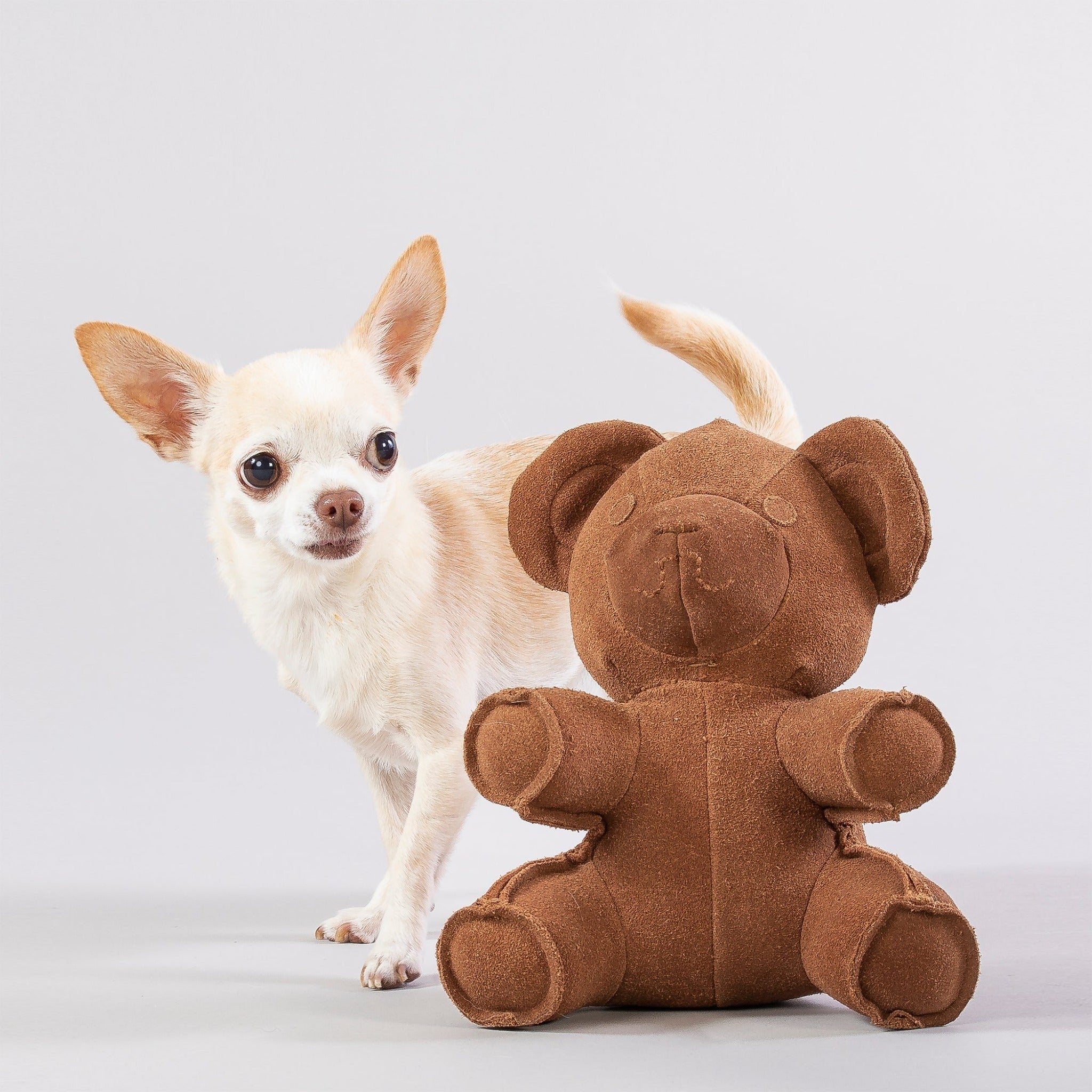 Paikka Teddy Toy, Hundespielzeug - Woofshack