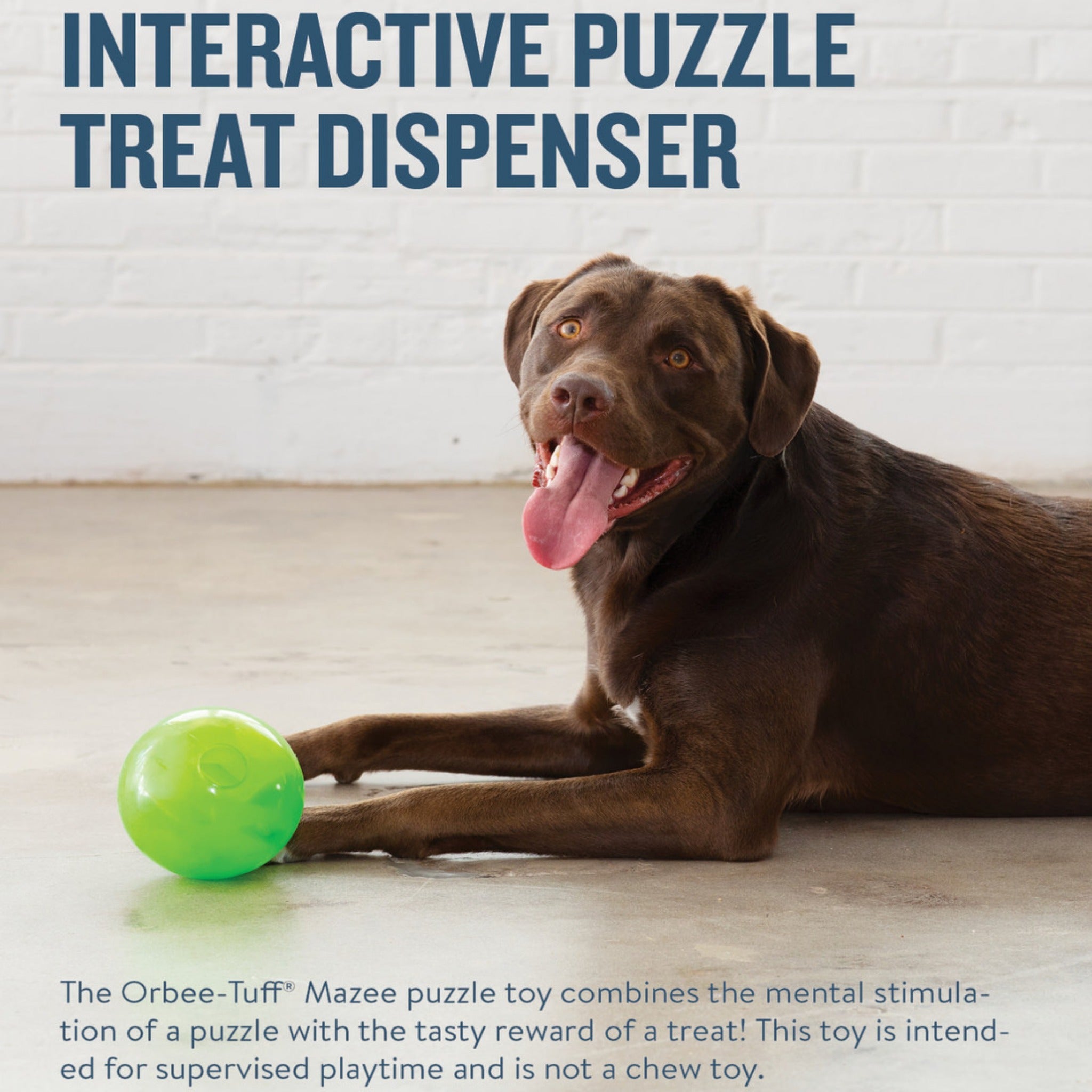 Pet Supplies : Planet Dog Orbee-Tuff Snoop Interactive Treat Dispensing Dog  Toy, Large, Green 