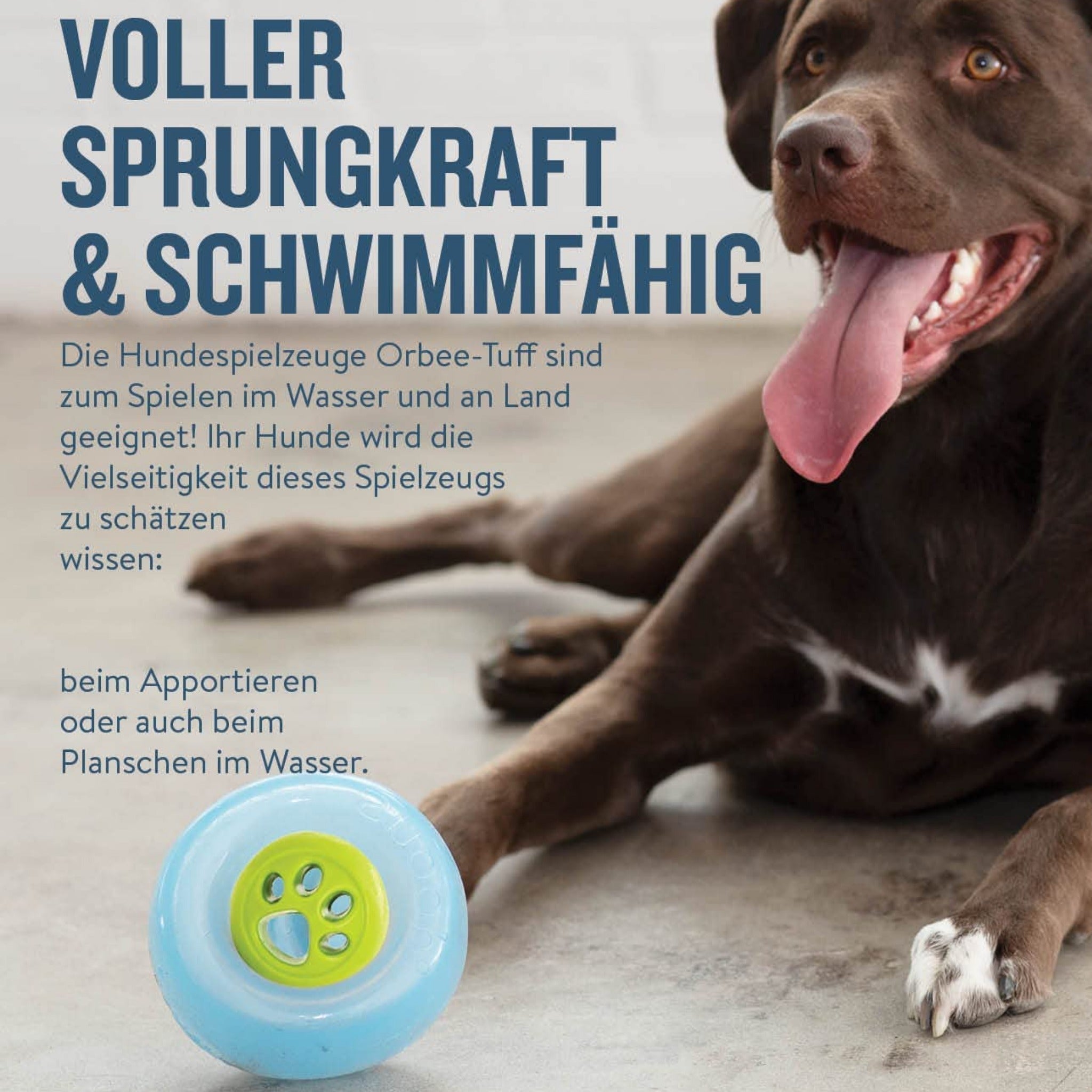 Planet Dog Orbee-Tuff Nook, Hundespielzeug - Woofshack