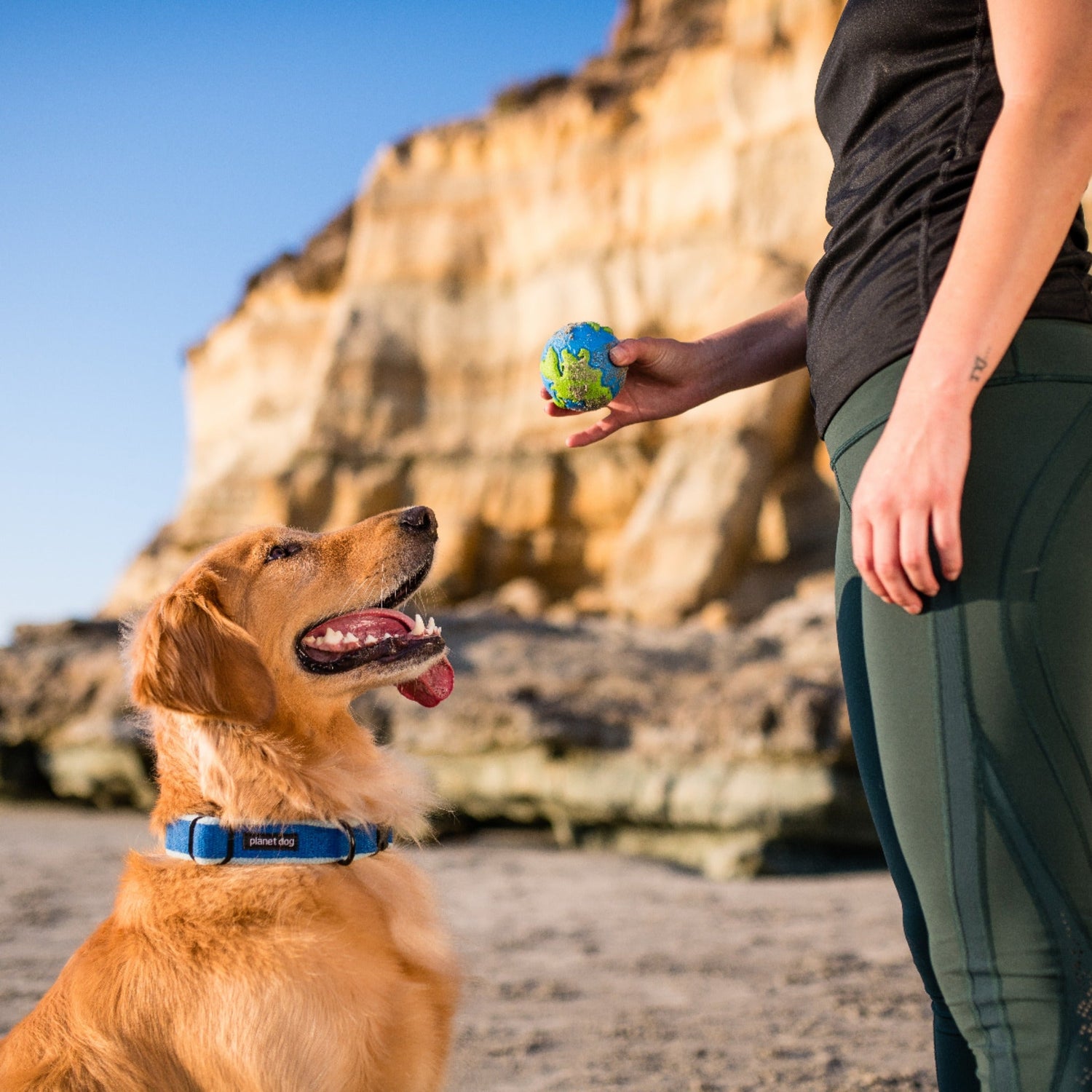 Planet Dog Orbee-Tuff Planet Ball, Hundespielzeug - Woofshack