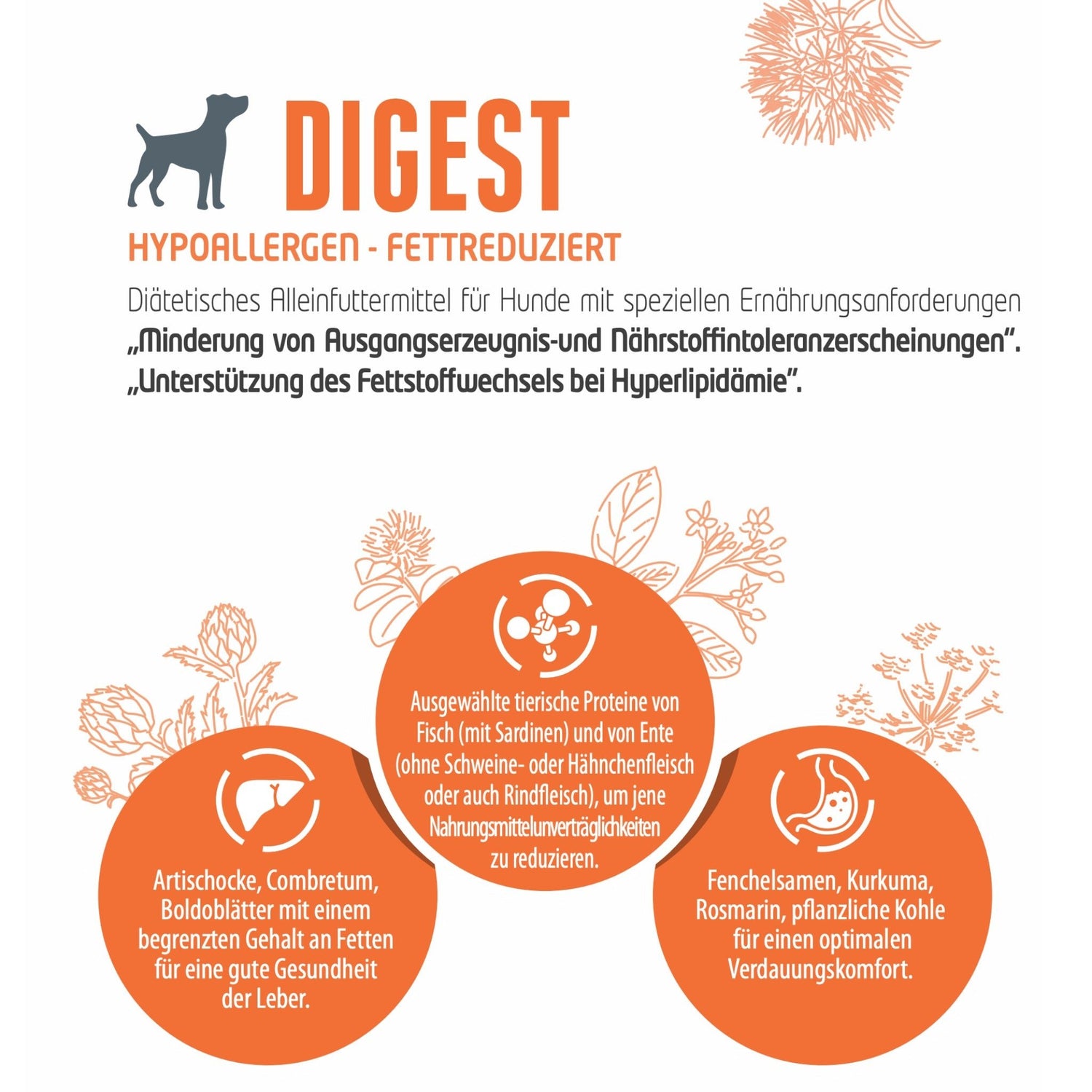 Pro-Nutrition Protect DIGEST, Veterinärmedizinisches Hundefutter - Woofshack