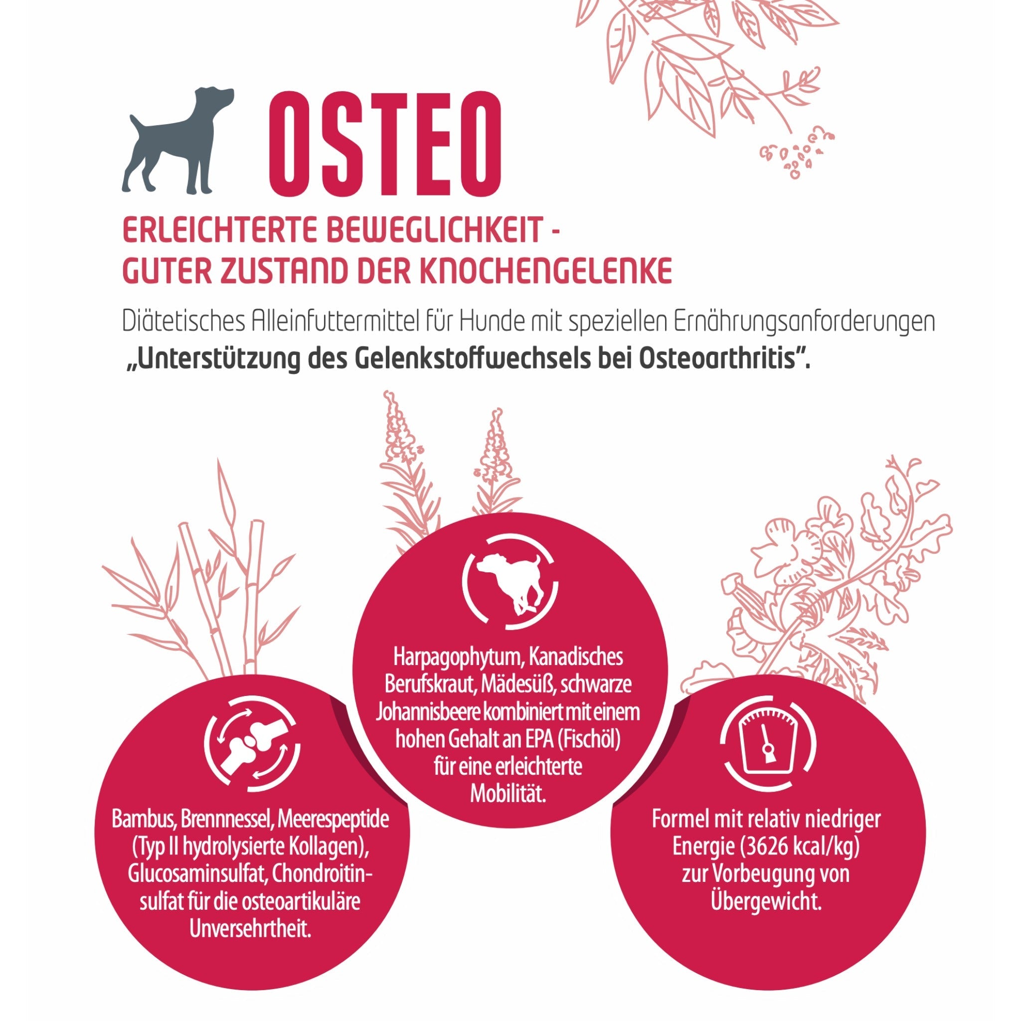 Pro-Nutrition Protect OSTEO, Veterinärmedizinisches Hundefutter - Woofshack