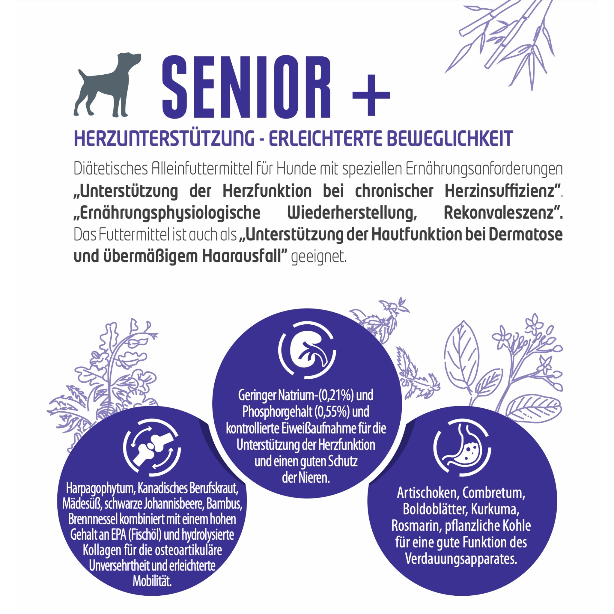 Pro-Nutrition Protect SENIOR+, Veterinärmedizinisches Hundefutter - Woofshack