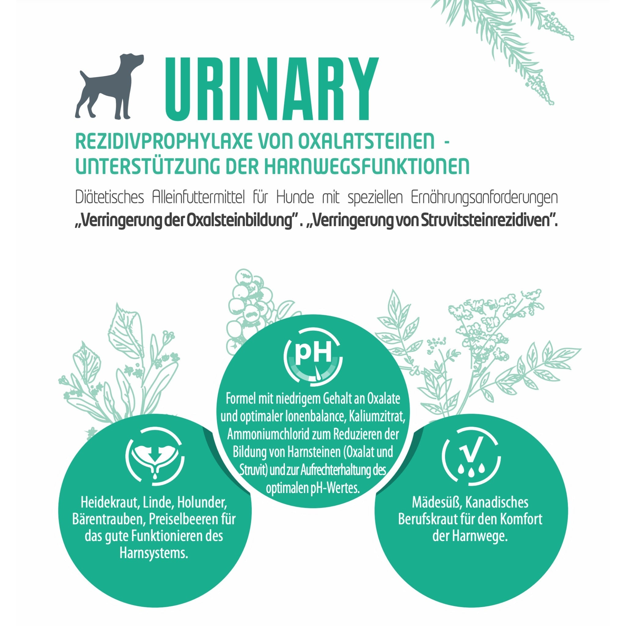 Pro-Nutrition Protect URINARY, Veterinärmedizinisches Hundefutter - Woofshack