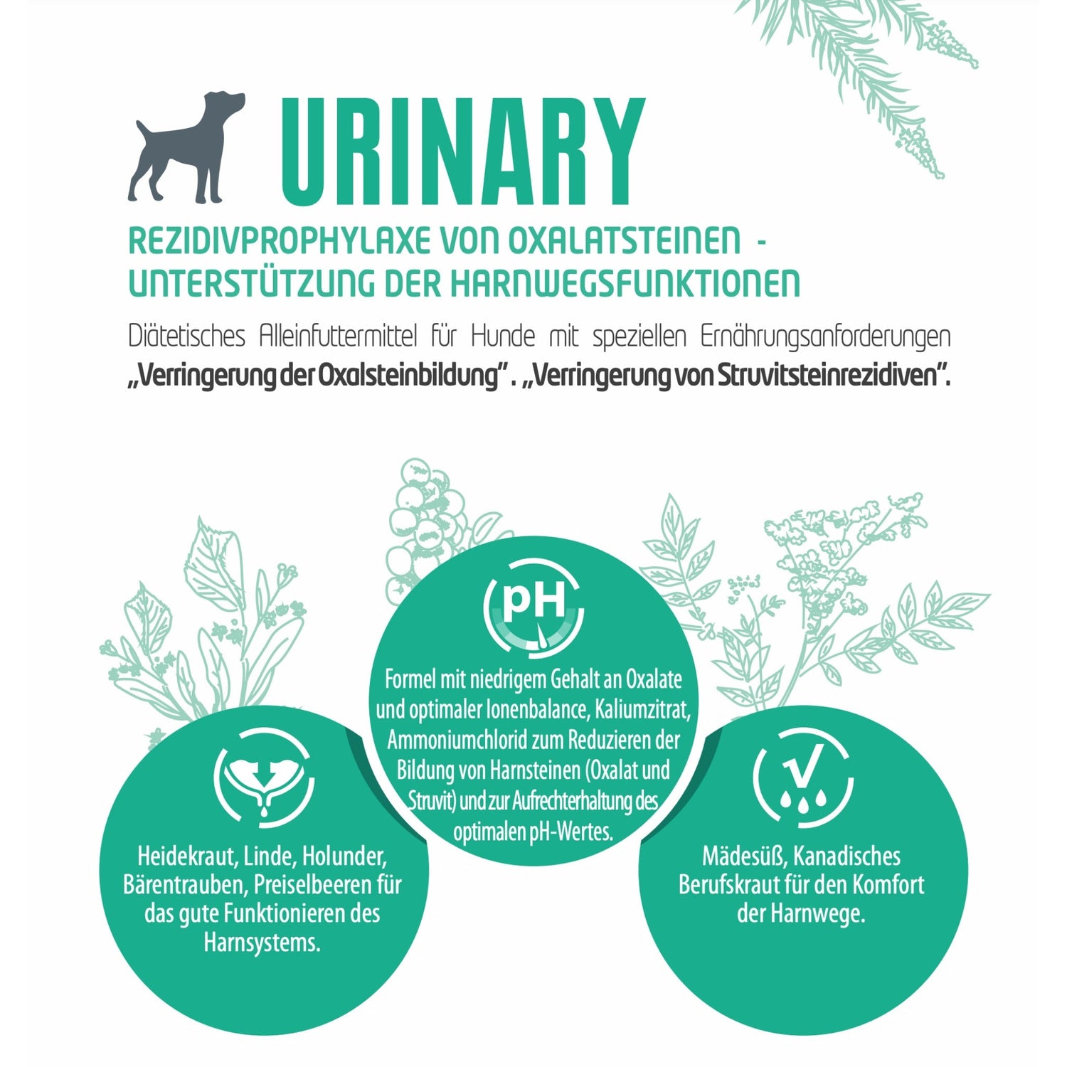 Pro-Nutrition Protect URINARY, Veterinärmedizinisches Hundefutter - Woofshack