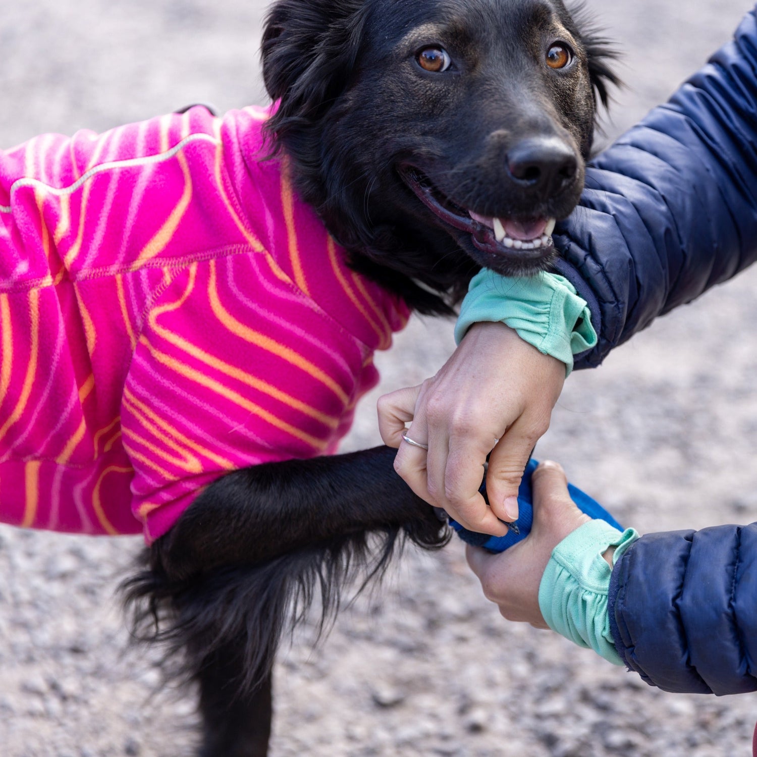 Ruffwear Bark&