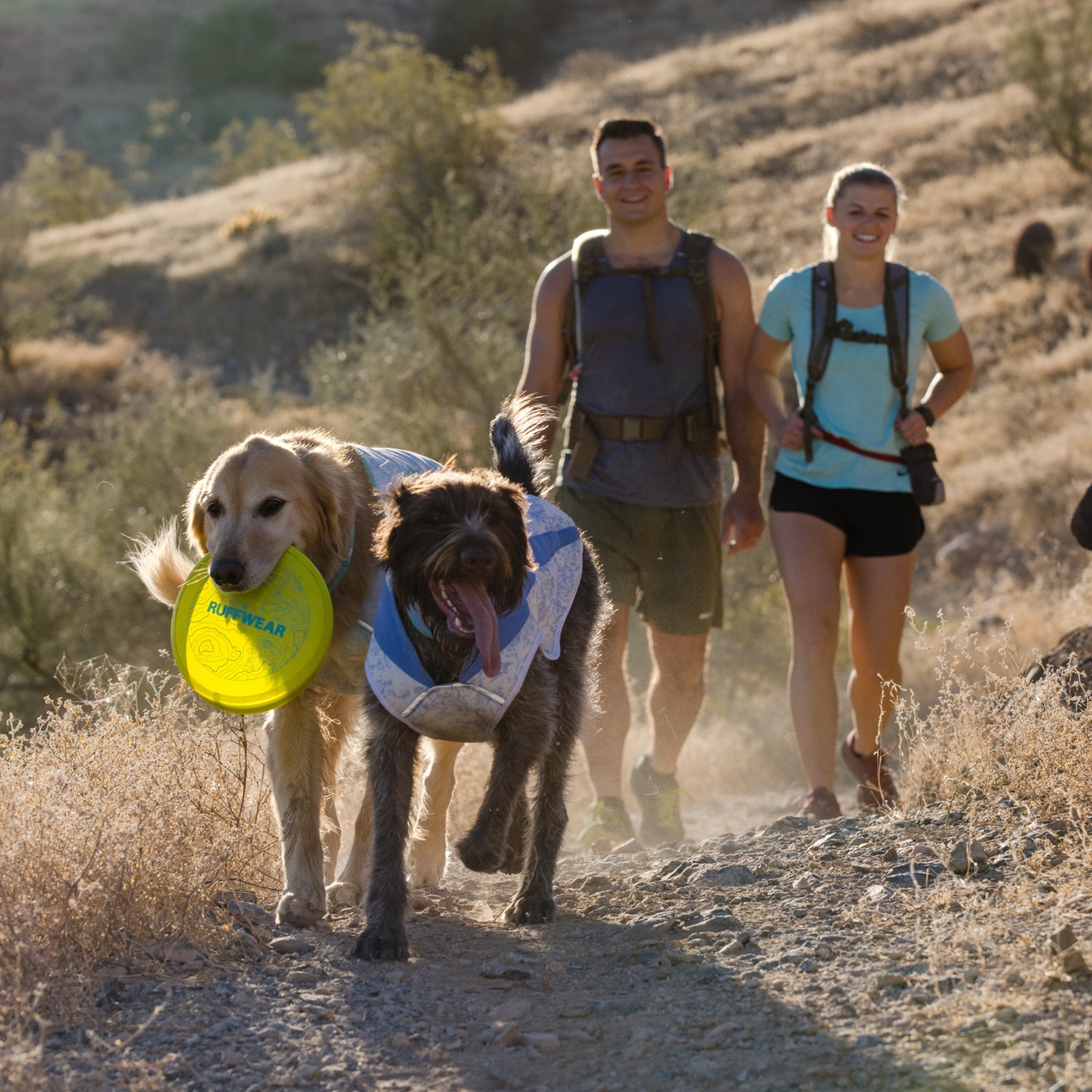 Ruffwear Camp Flyer, Hundespielzeug - Woofshack