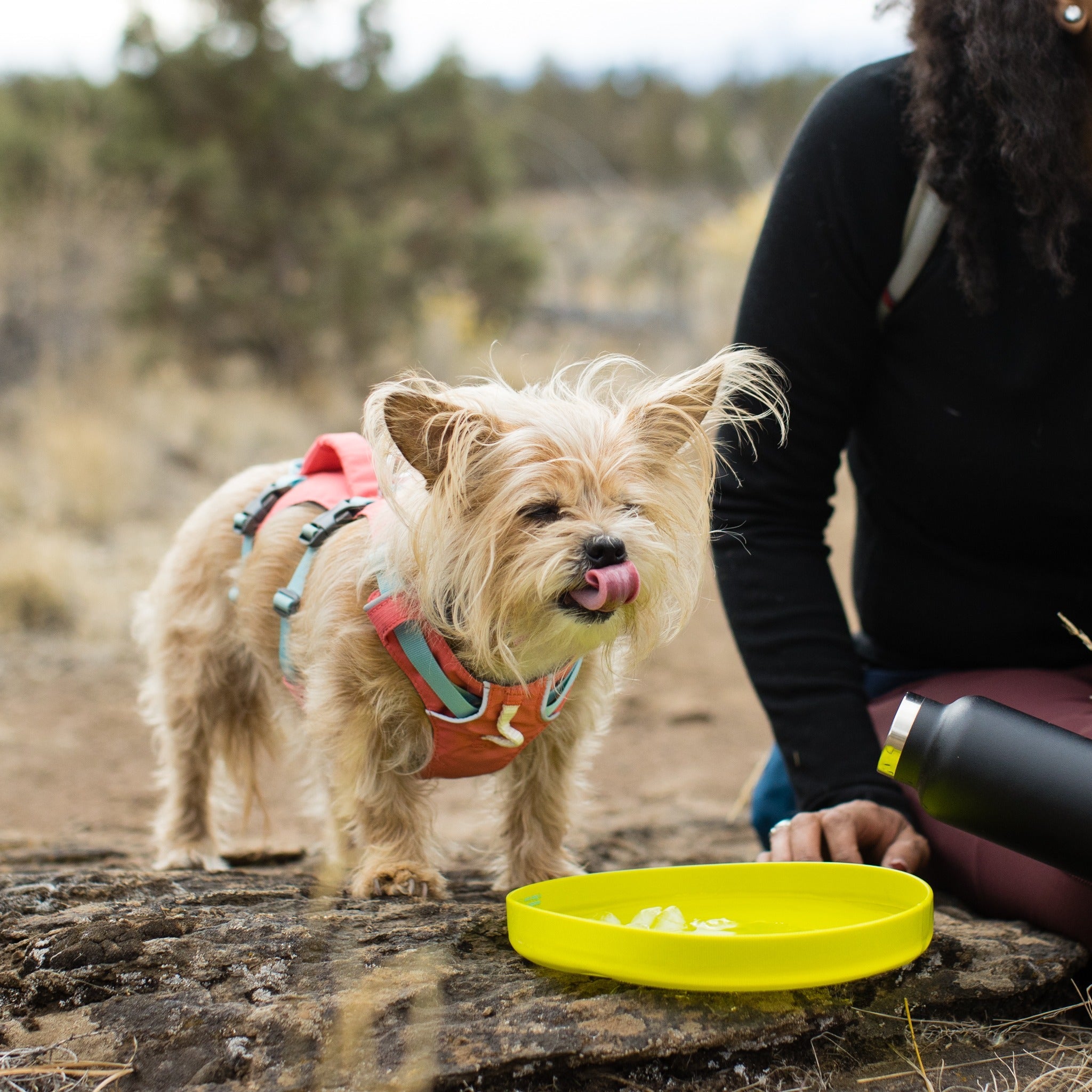 Ruffwear Camp Flyer, Hundespielzeug - Woofshack