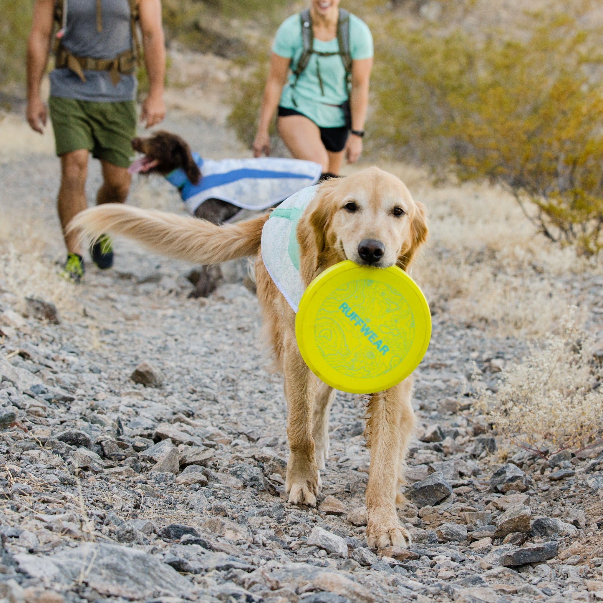 Ruffwear Camp Flyer, Hundespielzeug - Woofshack