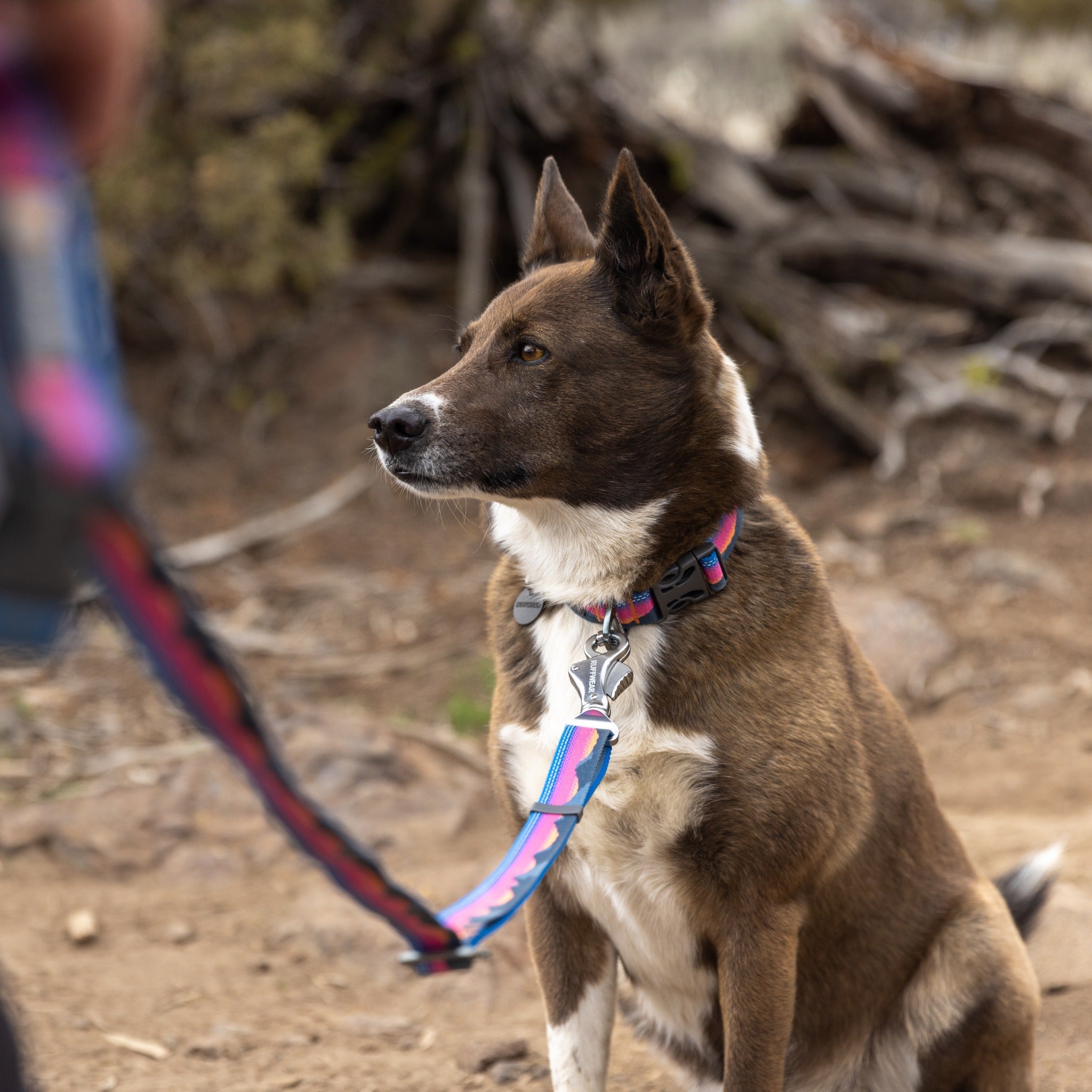 Ruffwear Crag Collar, Hundehalsband - Woofshack