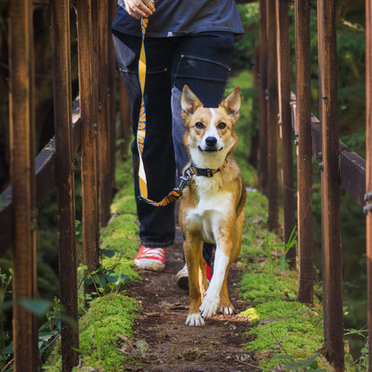 Ruffwear Crag EX Leash, Hundeleine - Woofshack