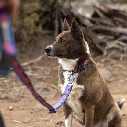 Ruffwear Crag EX Leash, Hundeleine - Woofshack