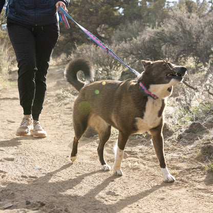 Ruffwear Crag EX Leash, Hundeleine - Woofshack