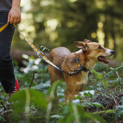 Ruffwear Crag EX Leash, Hundeleine - Woofshack