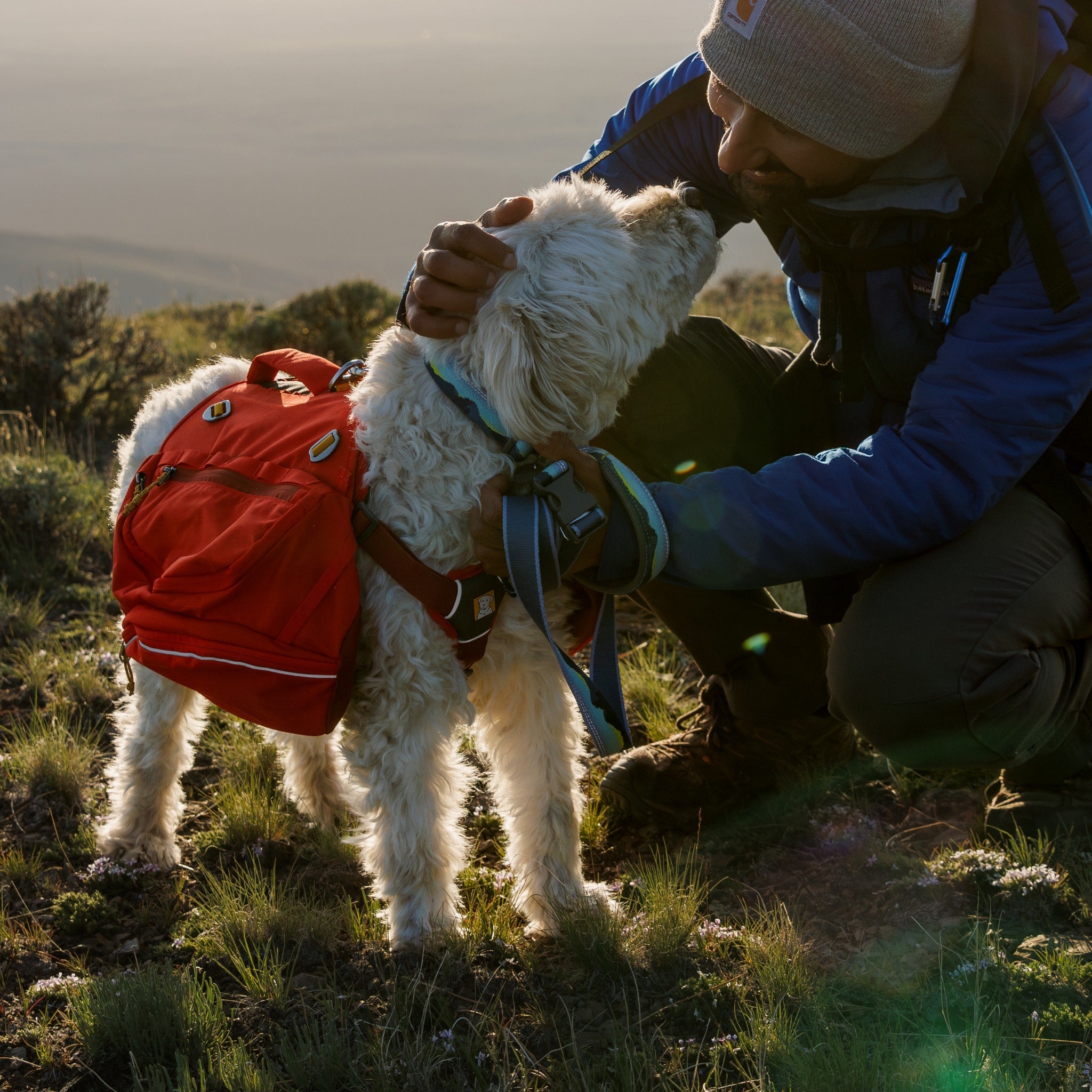 Ruffwear Crag™ Leash Hundeleine - Woofshack