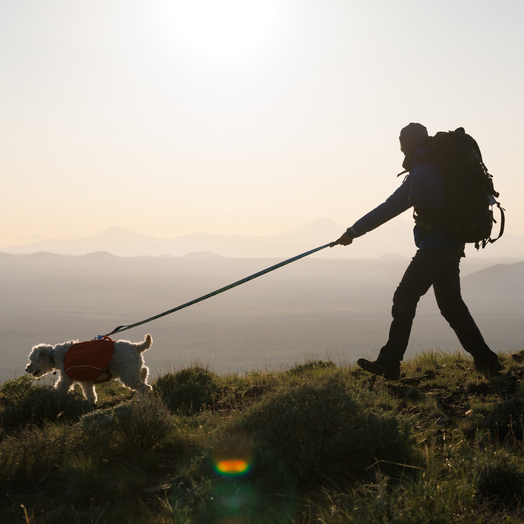 Ruffwear Crag™ Leash Hundeleine - Woofshack