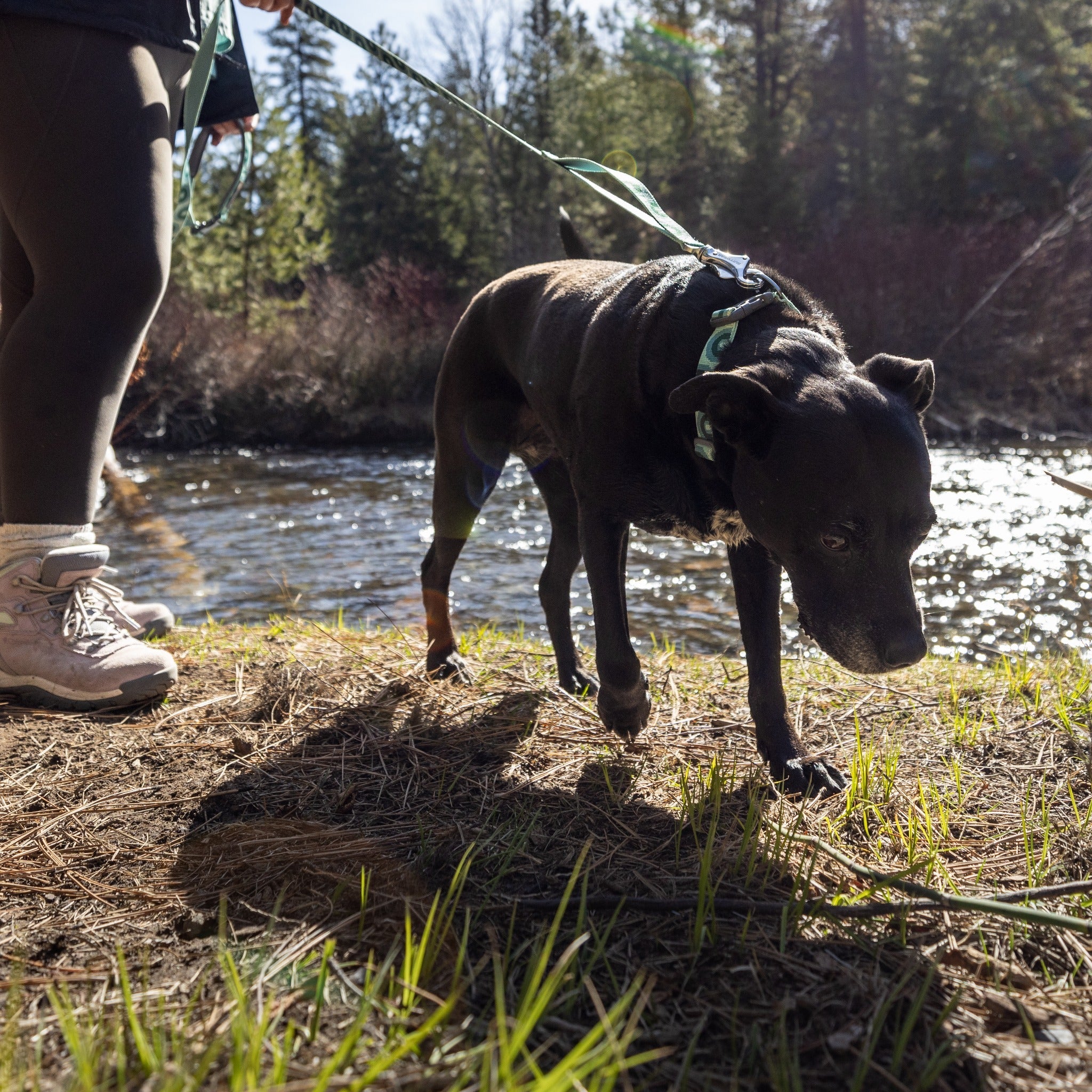 Ruffwear Crag™ Leash Hundeleine - Woofshack