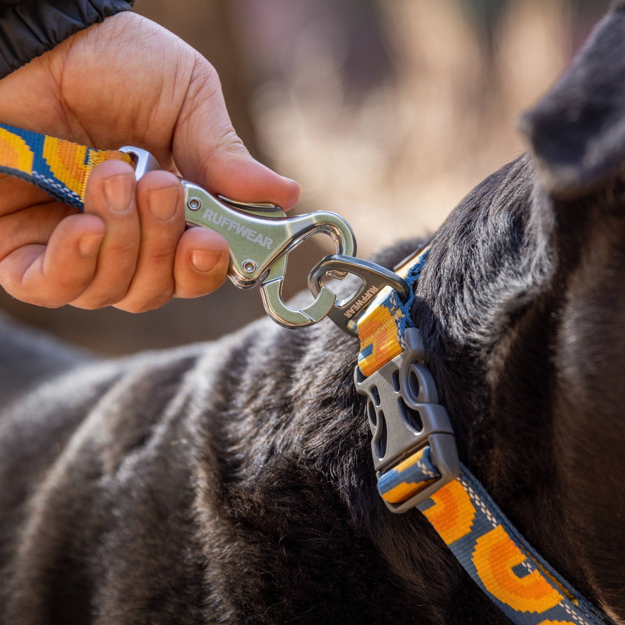 Ruffwear Crag™ Leash Hundeleine - Woofshack