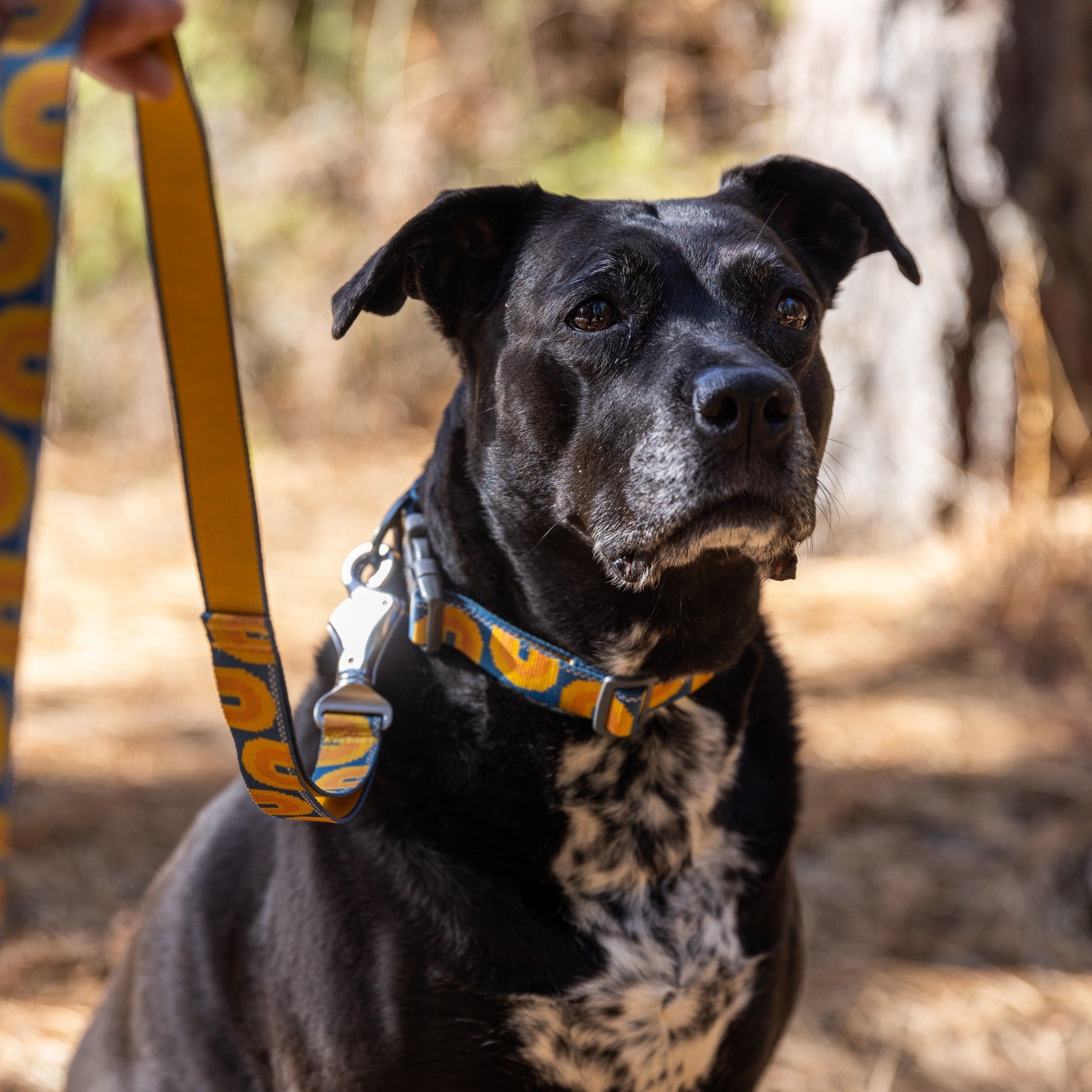 Ruffwear Crag™ Leash Hundeleine - Woofshack